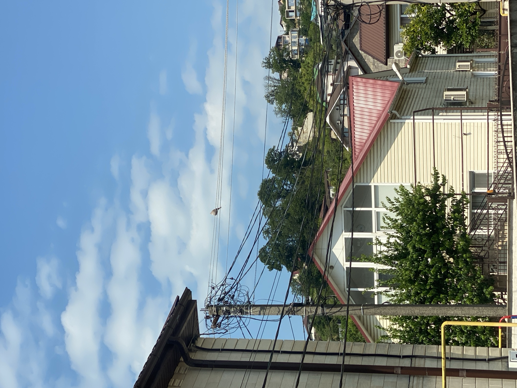 A wide shot captures a cluster of houses nestled on a verdant hillside under a bright blue sky dotted with wispy white clouds. In the foreground, a utility pole is heavily laden with a dense tangle of black electrical wires that stretch across the frame, obscuring parts of the houses and the lush green trees. Perched on one of the wires, a small, light-colored bird is visible in the upper middle portion of the image. A pale yellow and brown gas pipe runs vertically along the left side of the frame, adjacent to the corner of a cream-colored building. The houses, varying in architectural style and color, feature prominent red roofs and are set against a backdrop of dense foliage and more homes climbing the hillside. The scene appears to be in the city of Vysokoye, Russia, given the provided context.