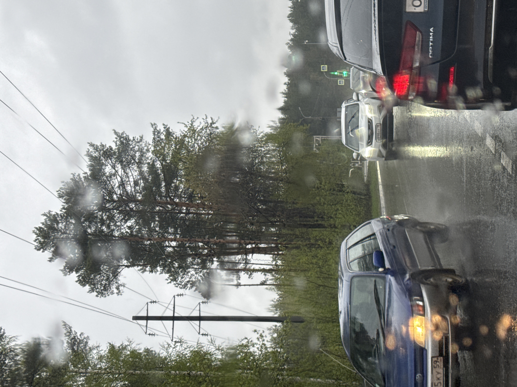 The image, captured on a rainy day, shows a street scene in what appears to be Chaikovsky, Russia. Cars are lined up in traffic, and the rain obscures visibility. The license plate on a blue car, 5KY59, is visible. A traffic light in the background is green. Trees and power lines line the side of the road. The vehicle in the front appears to be a blue compact car, and further ahead are other vehicles, including a white sedan and a black Kia Optima.