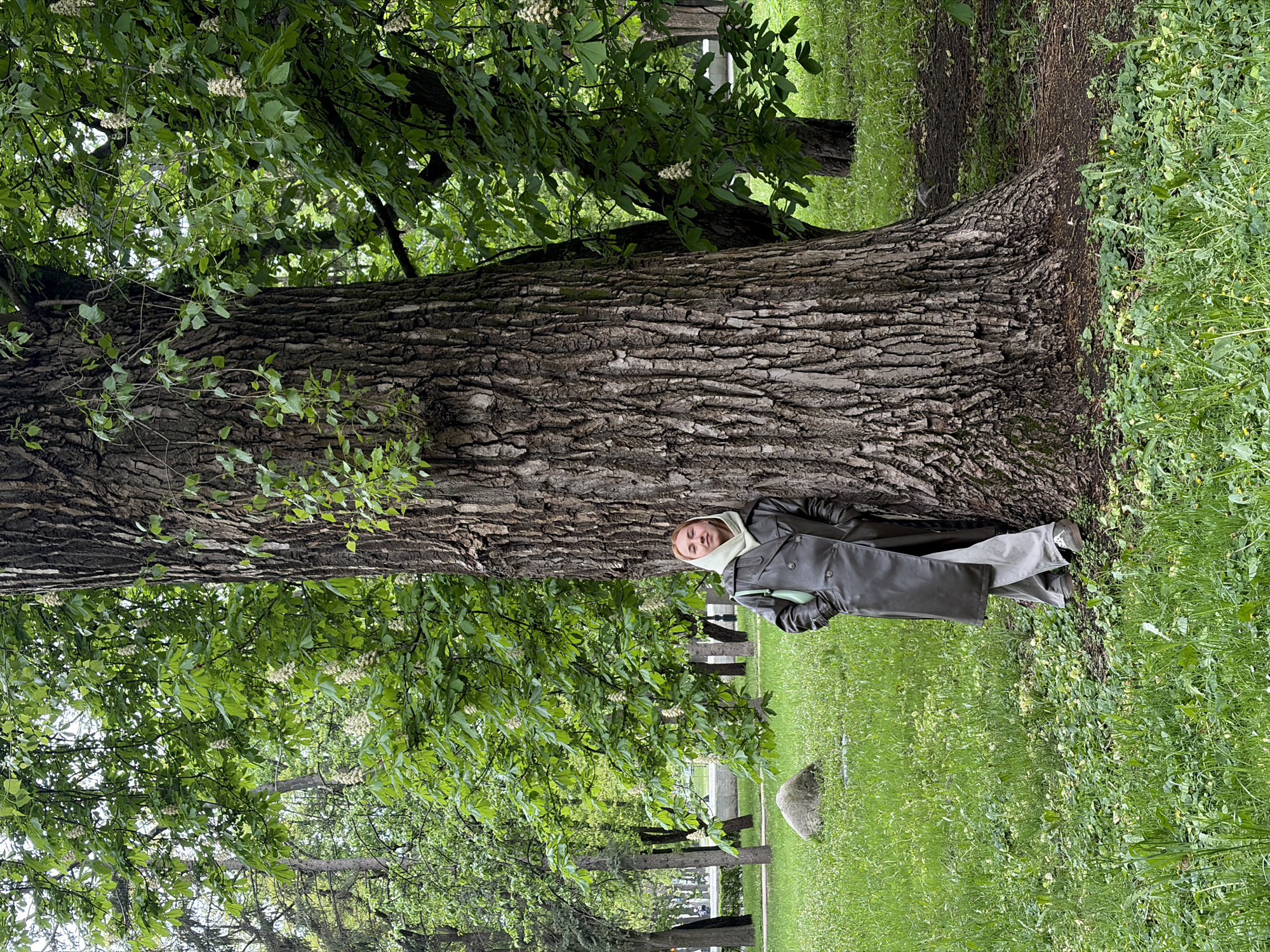 A tree trunk dominates the center of a verdant outdoor scene, with a person reclining against it. The individual is clad in a dark-colored overcoat and a light-colored hooded garment. Lush green foliage fills the upper left quadrant of the image, extending from the tree's branches. Ground cover consists of grassy terrain interspersed with wildflowers, creating a verdant expanse. The location is a park in the city of Unknown, Unknown.