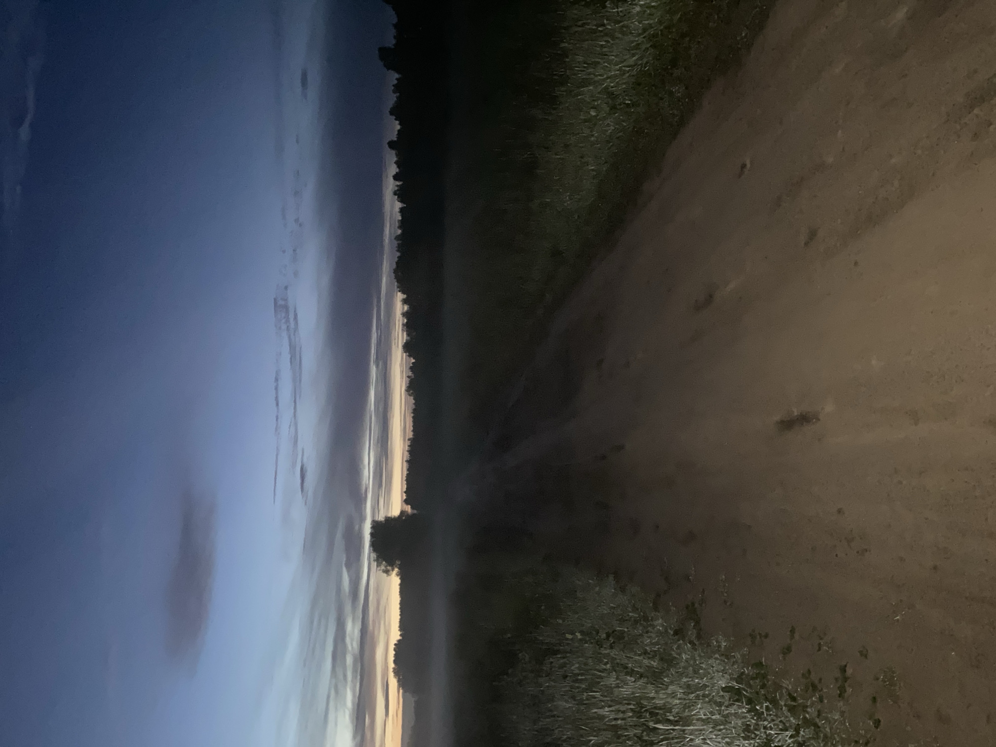 The image shows a dirt road leading through a field towards a forest at dusk. The sky is a deep blue with hints of pink and orange near the horizon, indicating the sun has recently set. Wisps of fog or mist hover over the field, obscuring the ground in the distance. Tall grass lines the sides of the road, and a single tree stands silhouetted against the fading light in the middle ground. The road appears to have tire tracks, suggesting it is used by vehicles. There are no people or animals visible in the scene. The overall impression is one of a quiet, rural landscape at the end of the day. This scene is located in Lindo-Pustyn' (Kantaurovskii S/S), Russia.