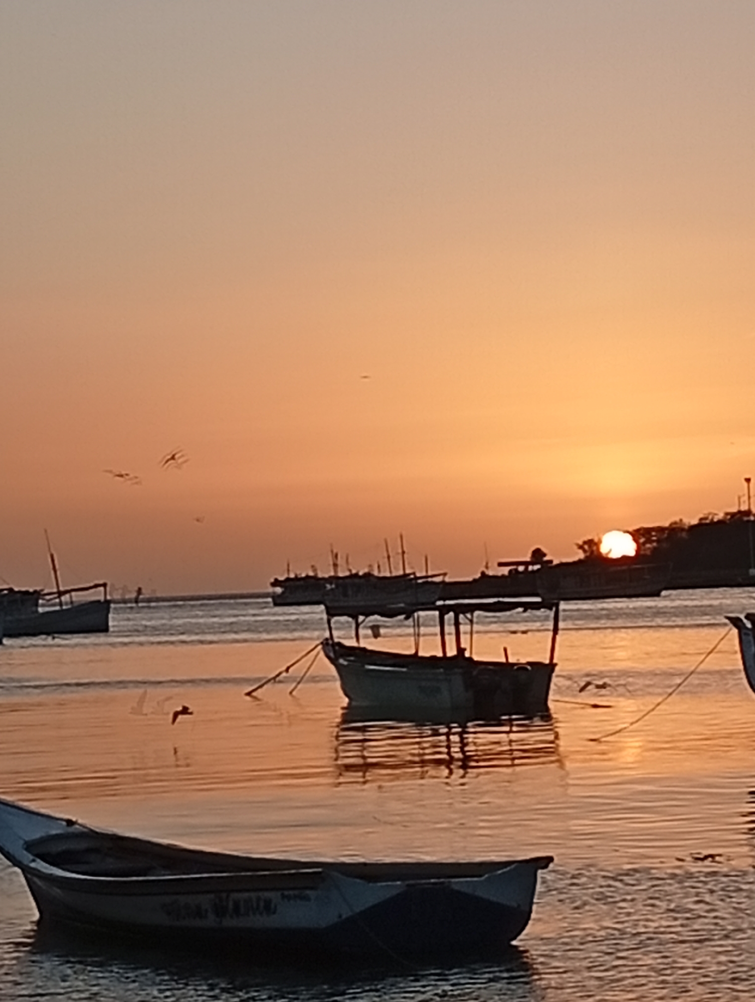At sunset, a body of water with several boats is visible. The sky is a gradient of orange and pink, with the sun low on the horizon. There are several sailboats and smaller fishing boats anchored in the water. Some birds are flying in the distance. The water is calm and reflects the colors of the sky. A single boat is in the foreground, pointing left, and its hull is white with a blue trim. The scene appears to be a harbor or a bay.
