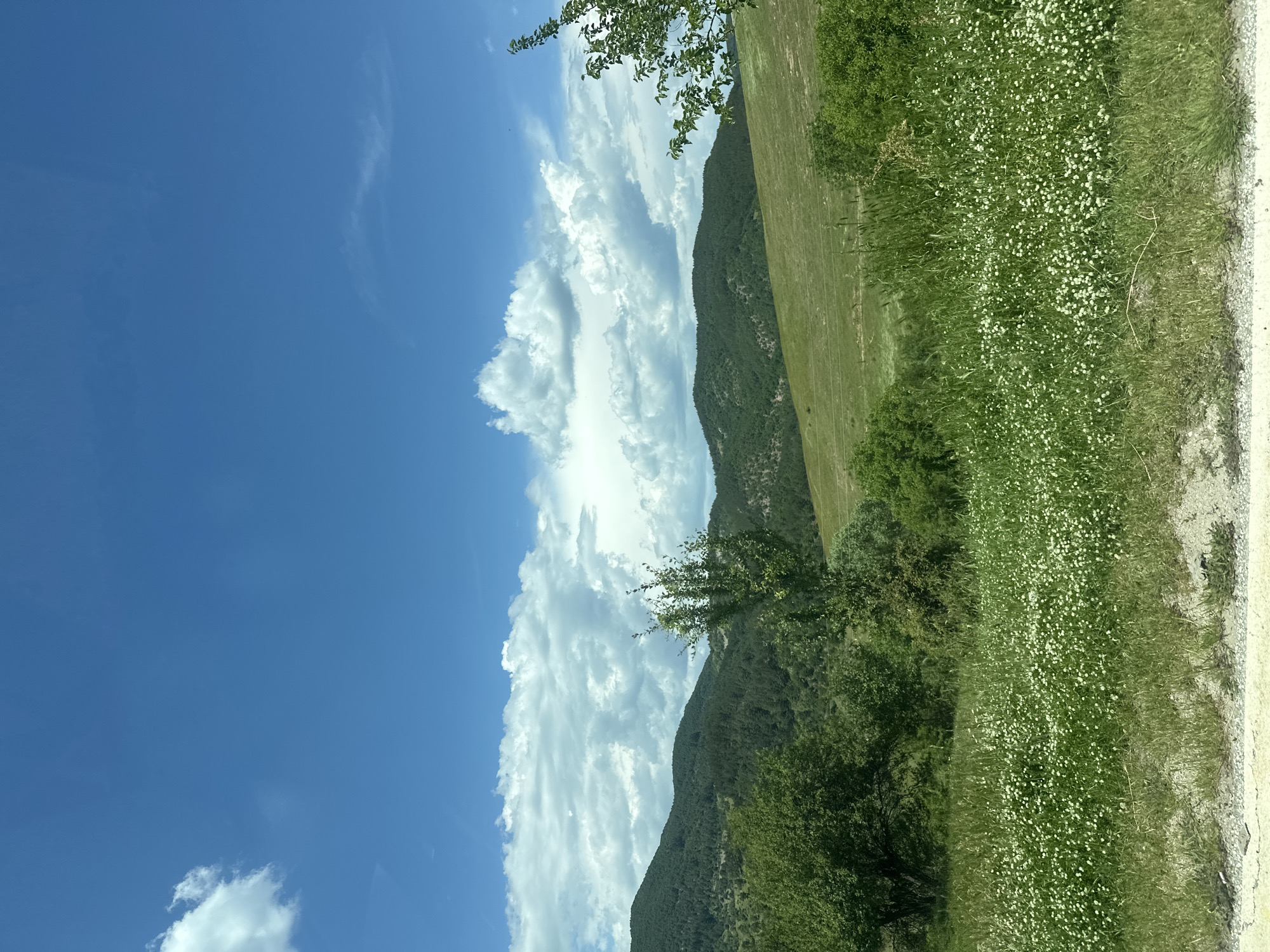 The image depicts a landscape in Komuniga, Bulgaria, showcasing a vibrant blue sky with scattered white clouds. A series of low, green mountains rise to the right, covered in dense trees. In the foreground is a strip of roadside vegetation, primarily green grass interspersed with numerous small white wildflowers. A concrete road or path runs along the edge of the grass, providing a clear boundary to the natural scene.
