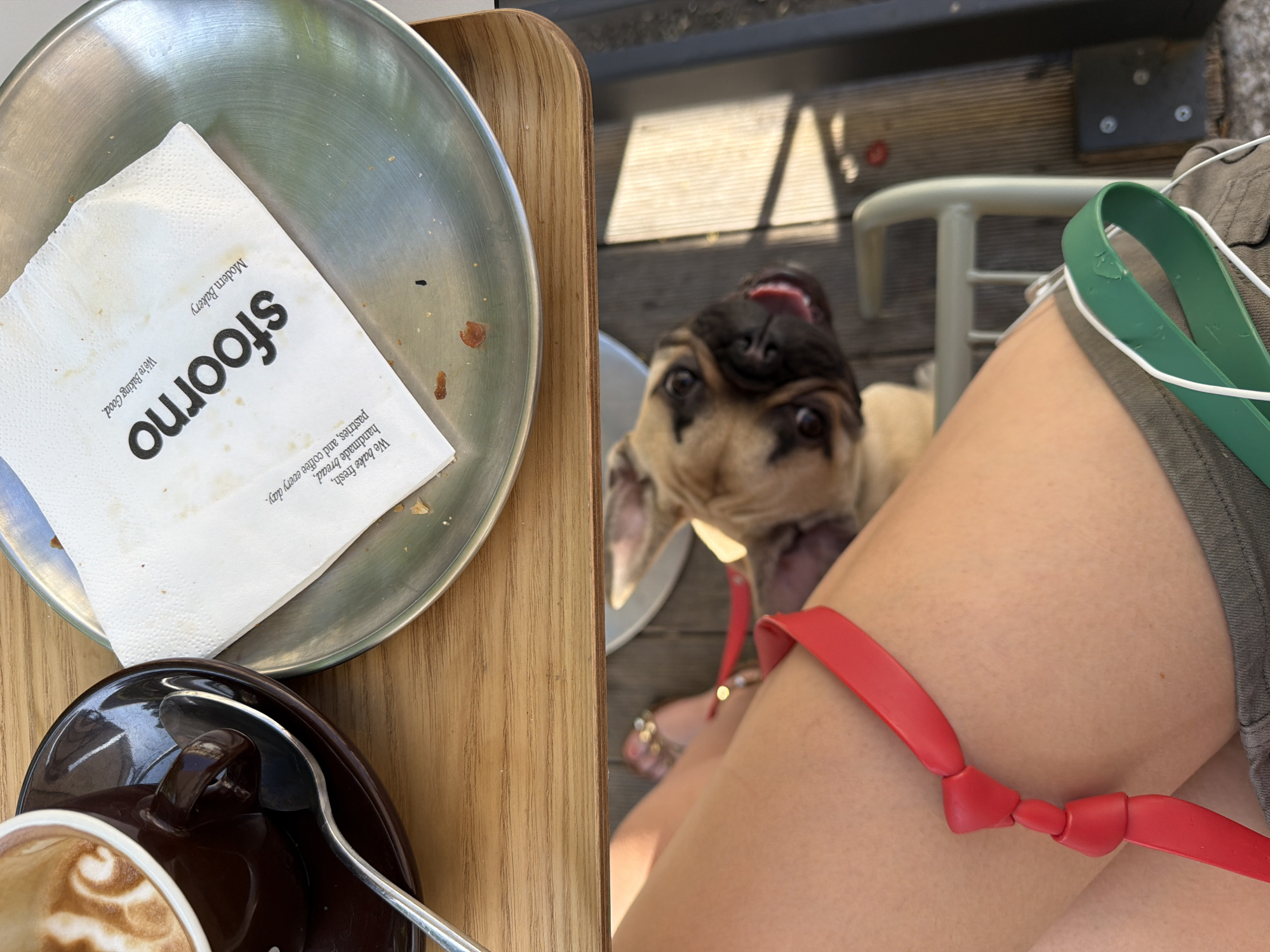 The image, taken from above, depicts a table at Sfoorno, a bakery in Milan, Italy. A silver tray containing a crumpled napkin with the bakery's logo sits next to a dark brown coffee cup with a spoon. A tan-colored pug with a red collar looks up towards the camera. A person's leg is also visible, clad in grey shorts and with a green strap, possibly from a bag, nearby. The dog is situated on the ground, near a wooden deck.