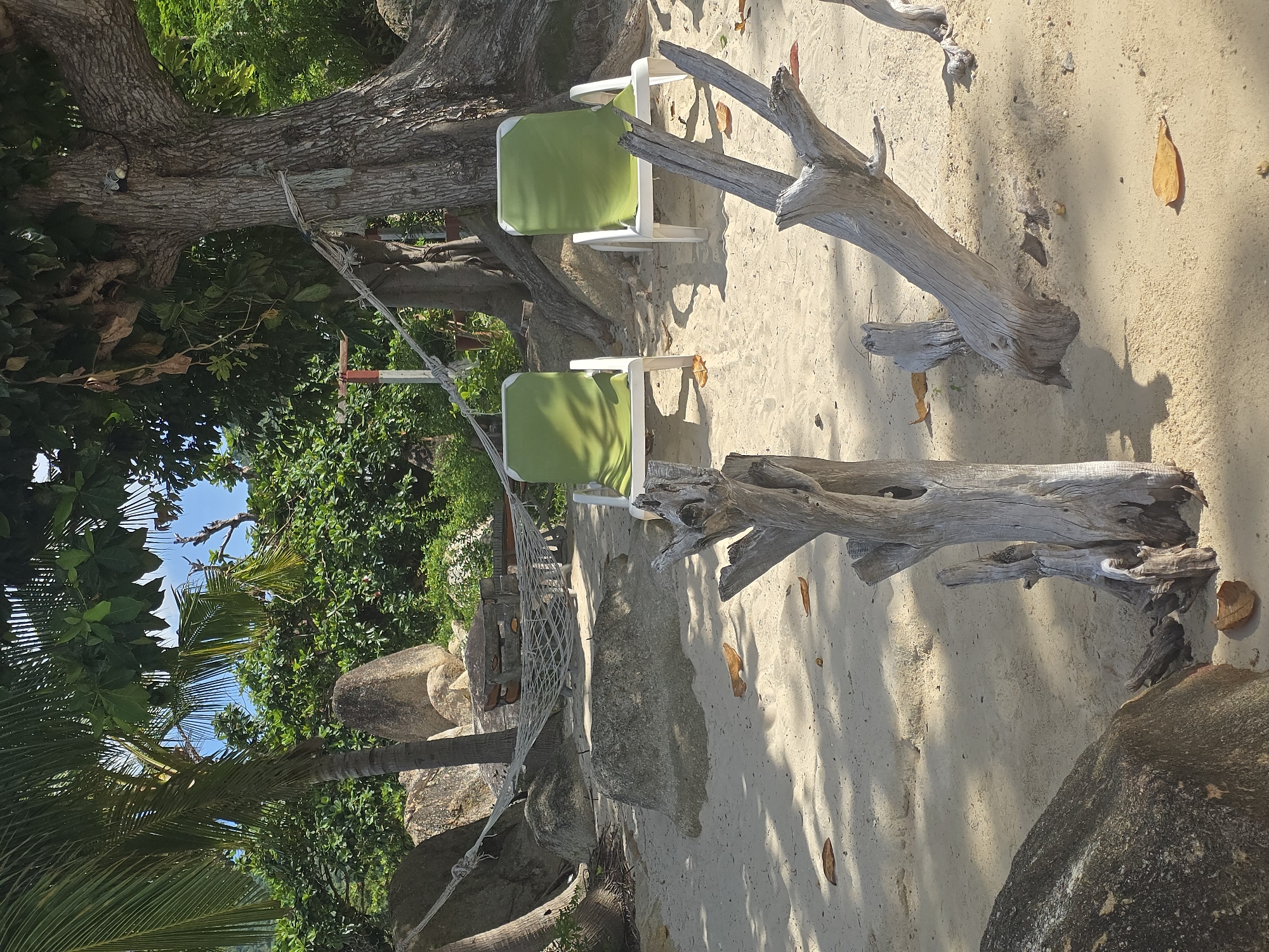 The image depicts a serene beach scene in Baan Chaweng Noi, Thailand, characterized by lush greenery and tranquil waters. In the foreground, two white lounge chairs with vibrant green cushions are positioned on the sandy shore, suggesting a relaxing atmosphere. A hammock is strung between two trees, further enhancing the idyllic setting. Several large boulders and weathered driftwood pieces are scattered across the sand, adding a natural and rustic charm. The background is dominated by dense vegetation and palm trees, with a glimpse of the blue sky peeking through the leaves. The overall impression is one of a peaceful, tropical paradise, ideal for unwinding and enjoying the natural beauty of the location.