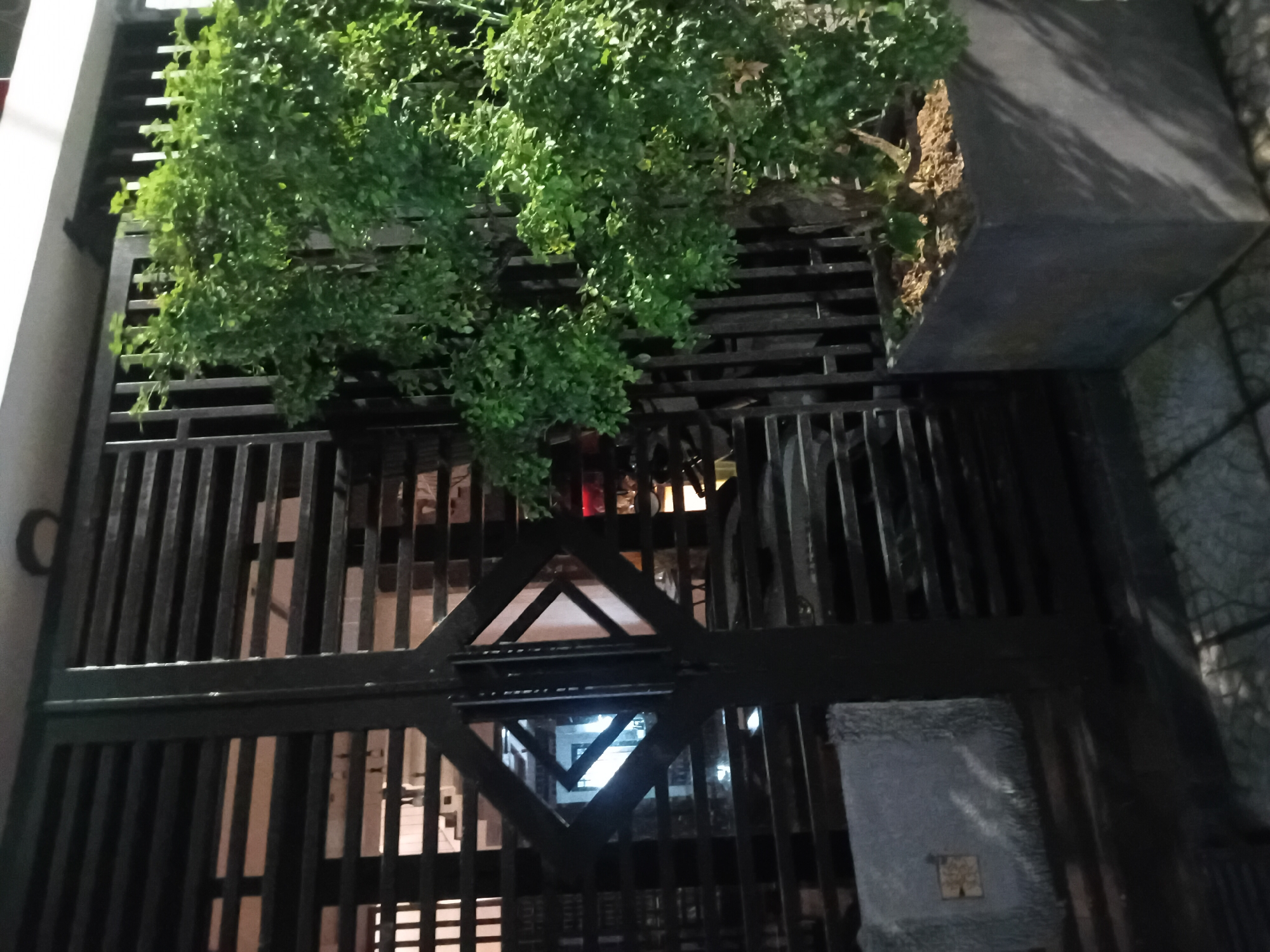 This image depicts a nighttime street scene in Da Nang, Vietnam, featuring a dark metal gate. To the right of the gate, a potted bonsai tree with dense green foliage is prominently displayed in a large, dark gray square planter. The planter casts distinct shadows on the ground, suggesting the presence of ambient light, possibly from streetlights or nearby buildings. The gate itself has a diamond-shaped cutout in its center, through which the interior of a building or property can be dimly seen, revealing a brightly lit space with what appear to be suspended light fixtures. On the ground in front of the gate, a textured, light-colored mat or rug is visible. The overall impression is one of an urban setting at night, characterized by artificial lighting and the juxtaposition of man-made structures with cultivated nature.