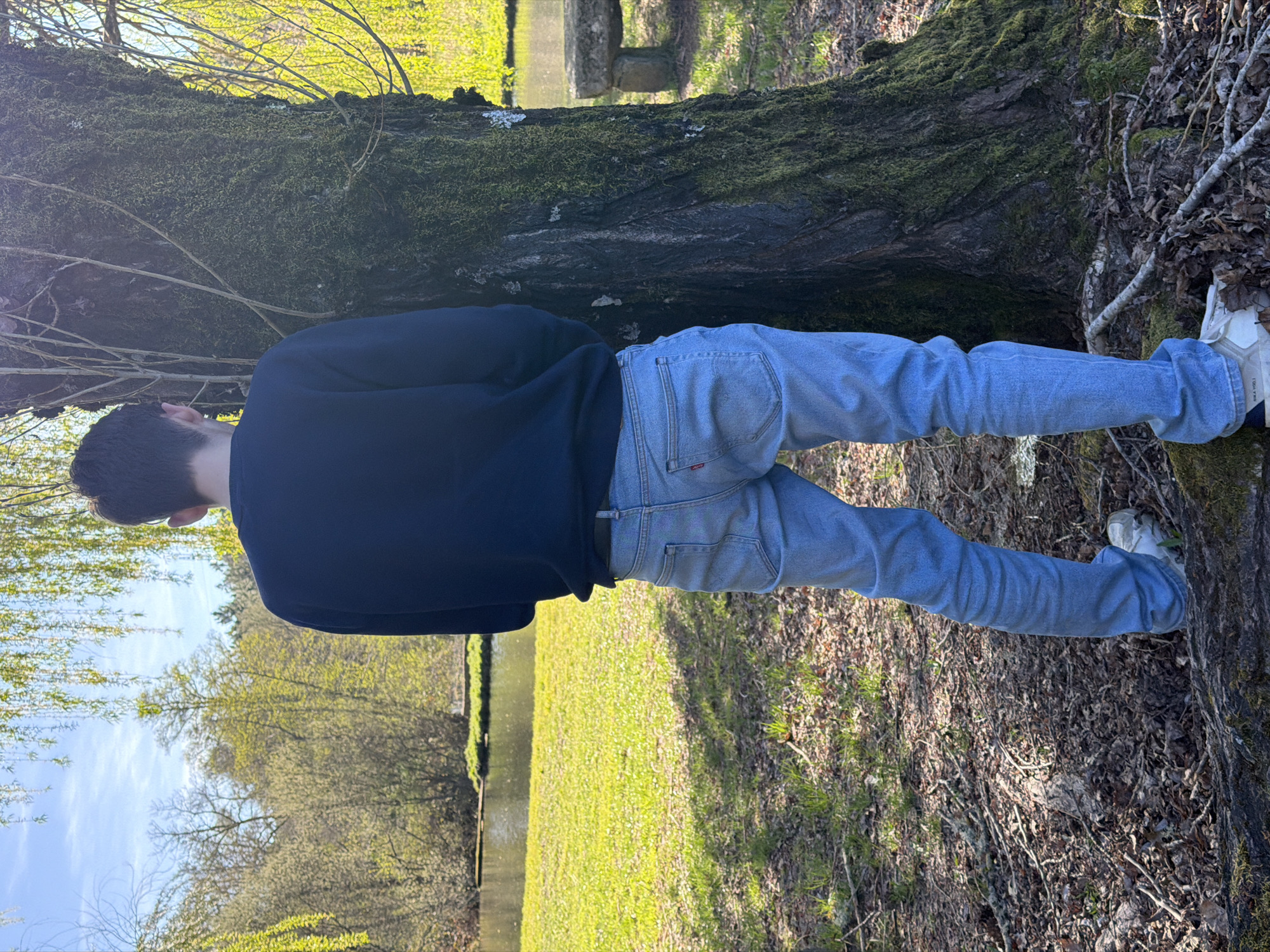 This image depicts an outdoor scene in Vila Real, Portugal. A male individual, viewed from behind, stands with his back partially turned towards a large tree trunk on the right side of the frame. He is wearing a dark blue long-sleeved sweatshirt, light blue Levi's jeans, and white sneakers. His posture suggests an act of urination against the tree.
The tree trunk is dark, textured, and heavily covered in green moss with some patches of white lichen; thin, light-colored branches descend into the frame from above. The immediate foreground consists of fallen dry leaves, sparse green grass, and exposed soil. In the middle ground, a tranquil body of water, likely a pond or lake, reflects the bright blue sky. Across the water, a manicured grassy area transitions into a dense backdrop of numerous deciduous trees exhibiting light green spring foliage. A stone bench is partially visible on the far right bank of the water. The scene is illuminated by natural daylight under a clear blue sky.