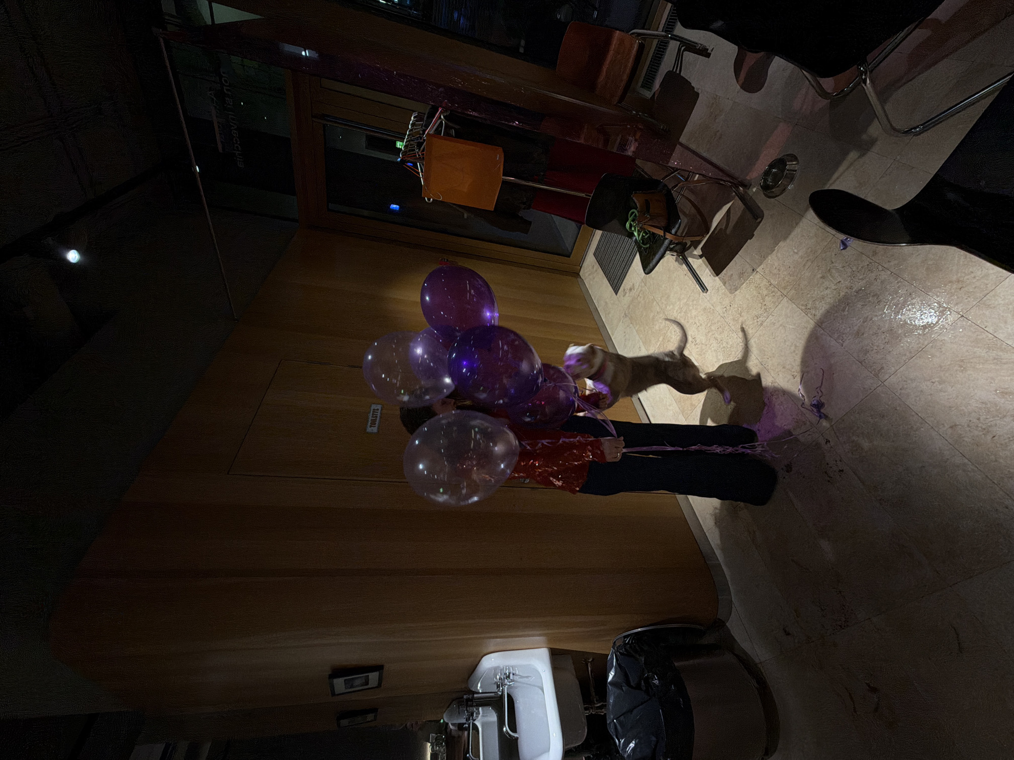 A person holds a bunch of purple and clear balloons in an indoor space. A dog is looking at the balloons. The background includes tiled flooring, modern-style chairs, and a wooden wall with a "TOILETTE" sign. A sink and trash can are visible in the bottom right corner. The location may be Moscow, Russia, based on architectural cues and styling.