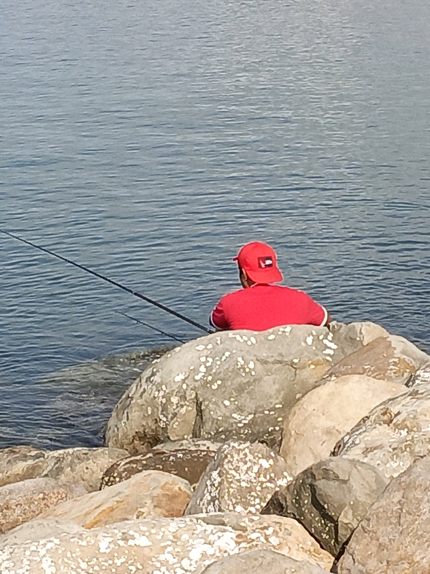A person wearing a red baseball cap and a red shirt with white trim is fishing on a rocky shore. The person is sitting on large rocks, with a fishing rod extended into the blue water. The water is calm with ripples. The rocks are varied in size and color, with some appearing lighter and covered in barnacles or shells. The scene is outdoors, likely near a body of water. The location is not identifiable as Bulukumba, Indonesia, as there are no specific landmarks or context clues to indicate this location.
