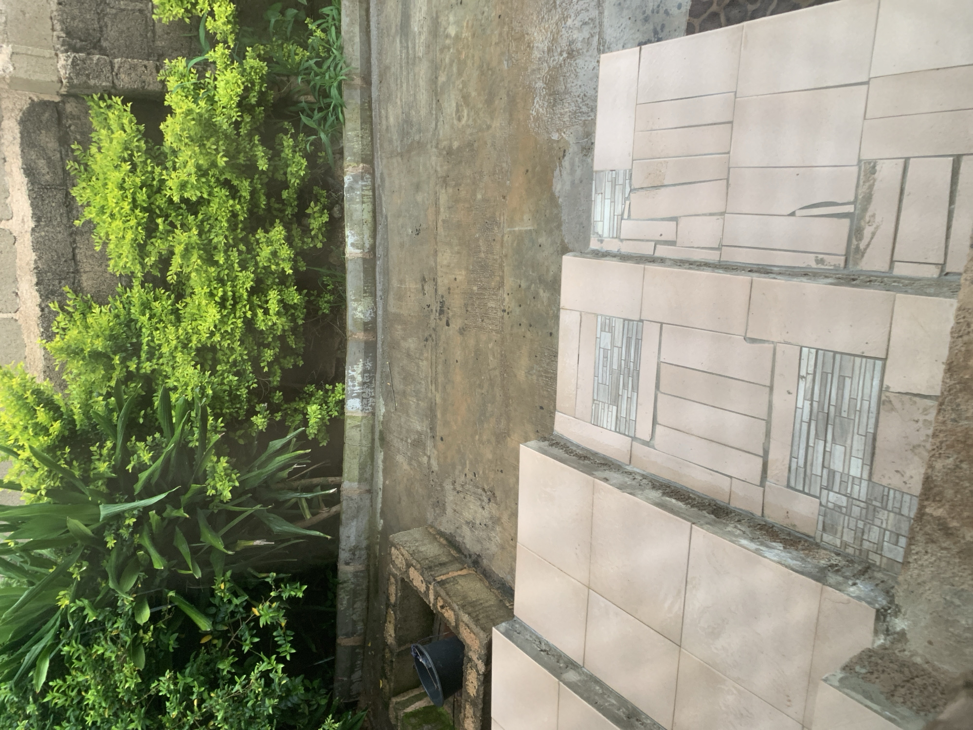 The image shows an outdoor concrete area with a set of tiled steps in the foreground. Lush green foliage, including large-leafed plants and smaller bushes, borders the concrete area and extends to a wall constructed of concrete blocks in the background. A black bucket is visible in a rectangular, brick-lined pit to the left of the concrete area. The concrete surface appears wet and stained, suggesting recent rain. The tiled steps are light beige with some areas decorated with smaller, rectangular tiles in a mosaic pattern. Some of the tiles on the steps appear to be chipped or cracked, and the edges of the steps show exposed concrete and mortar. The scene appears to be a backyard or patio area.