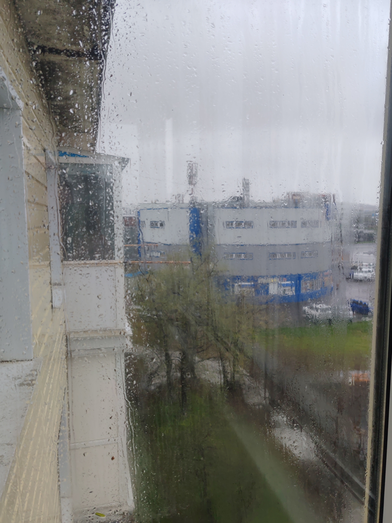 The image shows a view from a window in Petropavlovsk-Kamchatsky, Russia, on a rainy day. Raindrops cover the window pane, obscuring the view of the exterior. To the left, the side of a building is visible, showing white or light-colored siding and a small balcony. In the background, across the street, stands a larger, box-like commercial building with multiple windows and a blue stripe. There are cars in a parking lot beside the building. Trees with budding leaves are also visible between the viewer's building and the commercial building. The overall scene suggests overcast, wet weather.