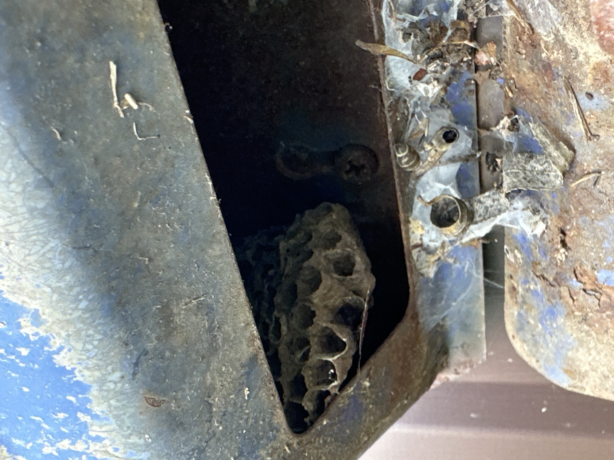 The image shows a wasp nest with hexagonal cells, partially visible within a dark recess of a weathered, blue and rusty metallic structure. The nest appears to be constructed from a papery material, typical of wasp colonies. The surrounding environment suggests an outdoor setting, possibly in an urban or rural area, given the condition of the metal and the presence of debris and what appears to be spiderwebs. The location is specified as Sredneye Kechevo, Russia. No people or specific actions are depicted, only the static presence of the wasp nest and its immediate surroundings.