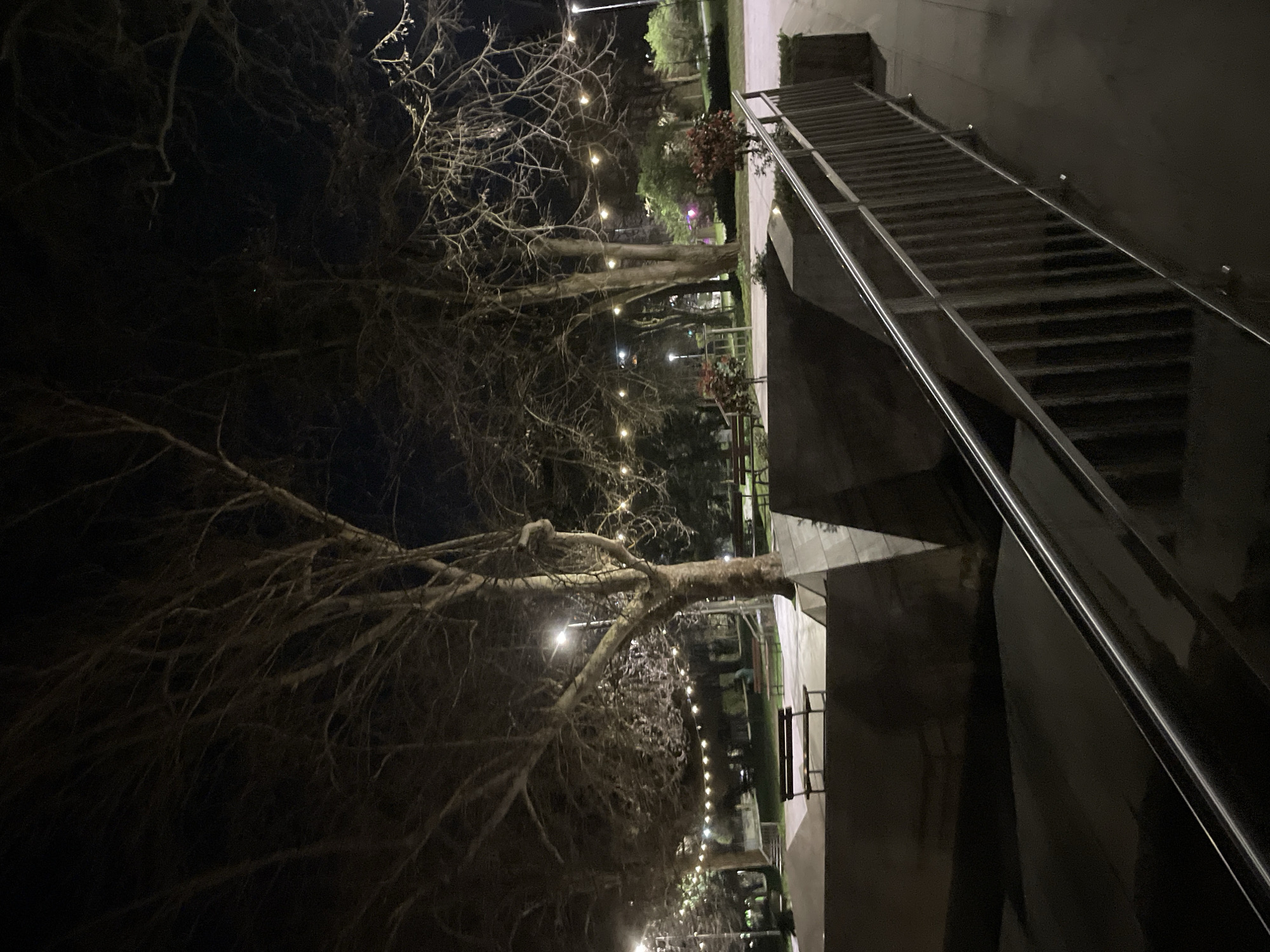The image depicts an outdoor scene at night in Veliko Tarnovo, Bulgaria. A set of stairs with metal railings occupies the right side of the frame, ascending out of view. A leafless tree with string lights draped across its branches is visible on the left. In the background, a park or garden area with more lights can be seen. The scene is dimly lit, with artificial light sources providing most of the illumination.