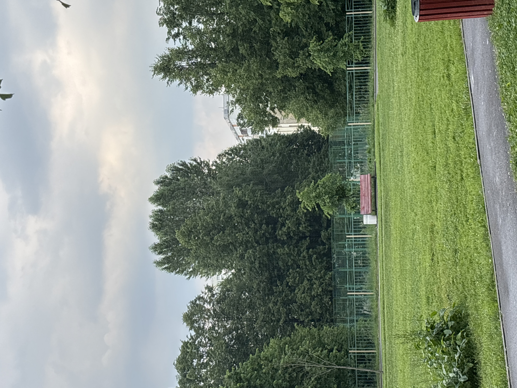 The image depicts a park in Moscow, Russia, on an overcast day. The foreground features a paved pathway bordering a lush green lawn. In the middle ground, a red park bench sits beside a white trash can, with a green metal fence enclosing a grassy area behind it. Beyond the fence, a dense line of tall, leafy trees forms a backdrop, with a white apartment building partially visible through the foliage. The sky is filled with soft, gray clouds.