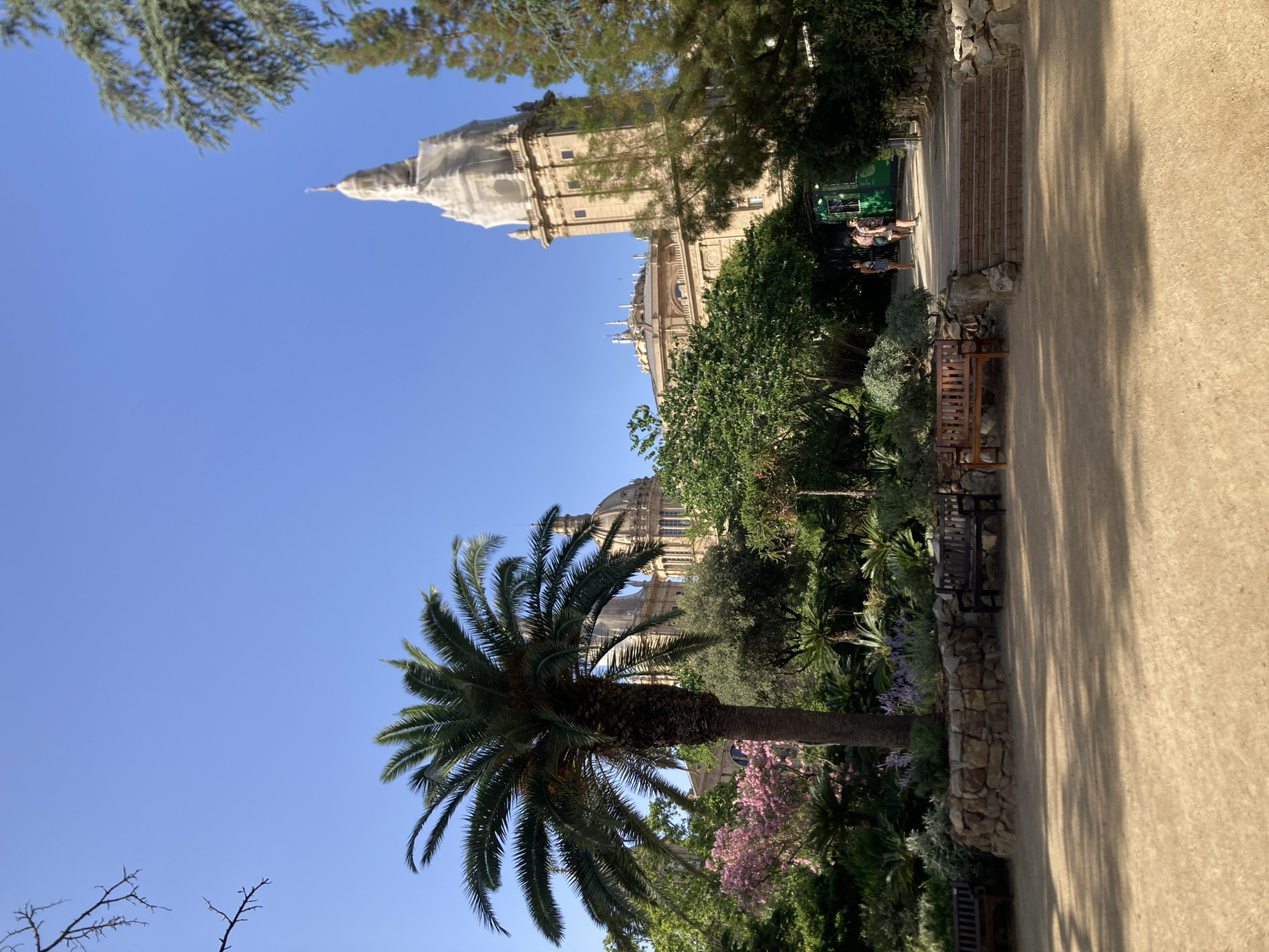 This is a horizontal, eye-level, full-shot photograph of a sunny day in Barcelona, Spain. In the foreground, a tan, sandy path is visible with two empty wooden park benches, one on the left and one on the right. Behind the path is a tiered garden area, bordered by stone walls and filled with a variety of lush green plants and some flowering pink trees. A tall palm tree stands prominently in the center of the garden. In the background, a large, ornate building with domes and a tall tower can be seen. The tower is partially covered with scaffolding. Several people are visible near the entrance to the building, and a small green kiosk is to the right of the building's entrance. The sky is a clear, bright blue. This appears to be the Palau Nacional on Montjuïc hill in Barcelona.