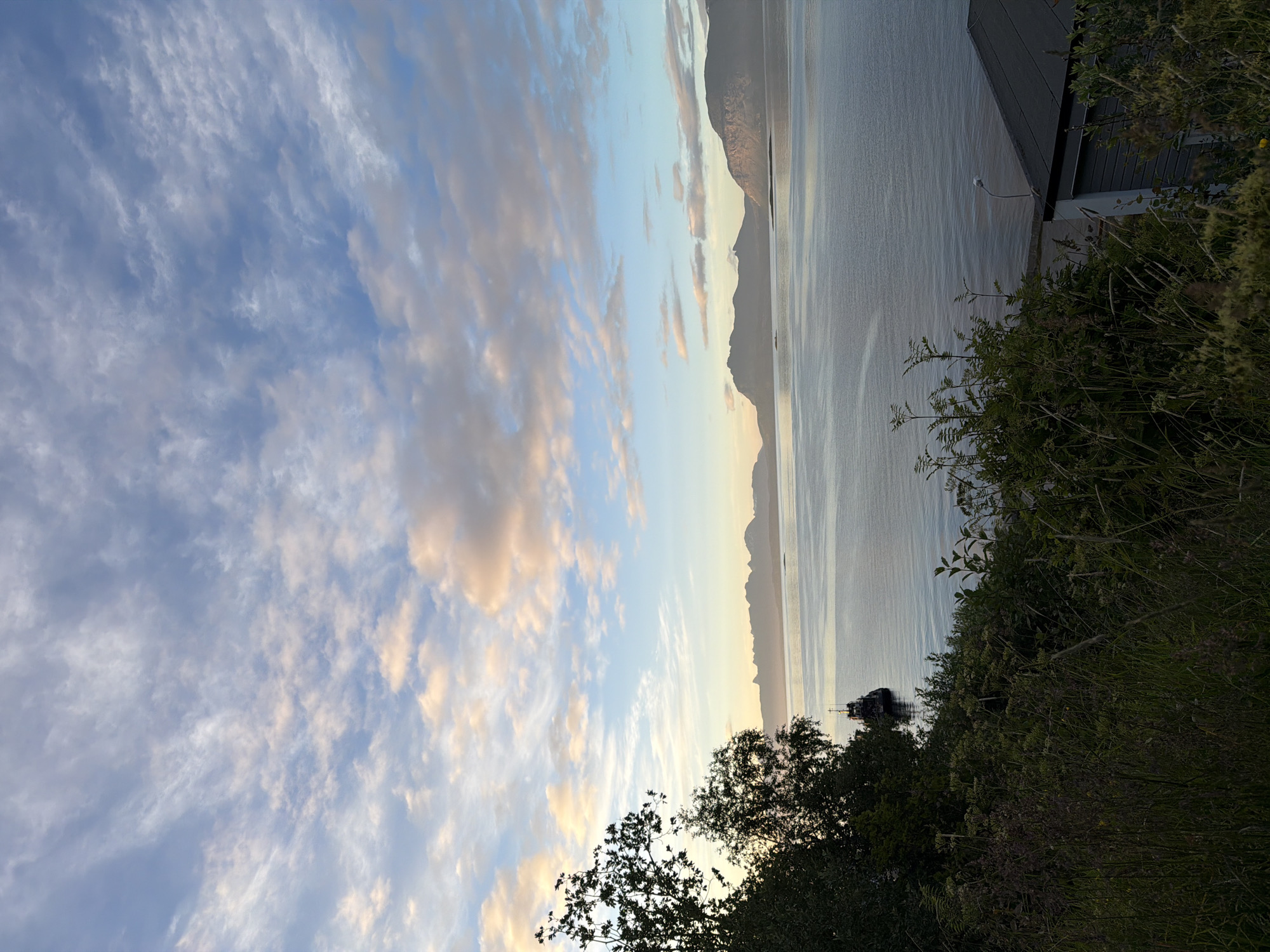 This image depicts a serene coastal landscape in Harstad, Norway, likely captured during either sunrise or sunset due to the soft, warm hues in the sky and the calm water. In the foreground, lush green vegetation and trees dominate the left side of the frame, with some of the foliage casting shadows on a dark, rocky outcrop below. A small boat is anchored in the water to the left, and further out, a row of dark, silhouetted mountains stretches across the horizon. The water itself is a deep blue, reflecting the pale colors of the sky. A modern-looking building with a dark, sloped roof is partially visible on the right side of the foreground, nestled amongst more vegetation. The sky is a dynamic mix of blue and white clouds, with streaks of pink and orange indicating the time of day. The overall impression is one of tranquility and natural beauty.