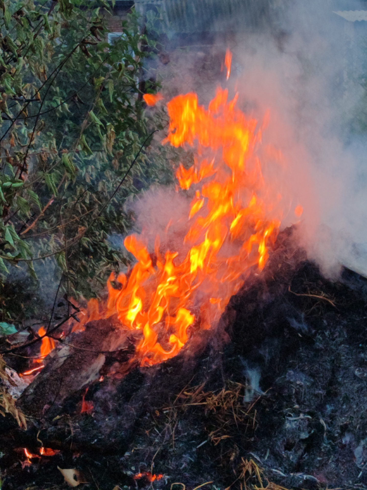 A pile of burning debris is visible, with flames reaching upwards and white smoke billowing around them. The fire is set against a backdrop of green foliage, branches, and what appears to be a building with a corrugated roof in the distance. The ground beneath the fire is covered in dark, charred material. The scene is outdoors, in an unspecified urban environment.
