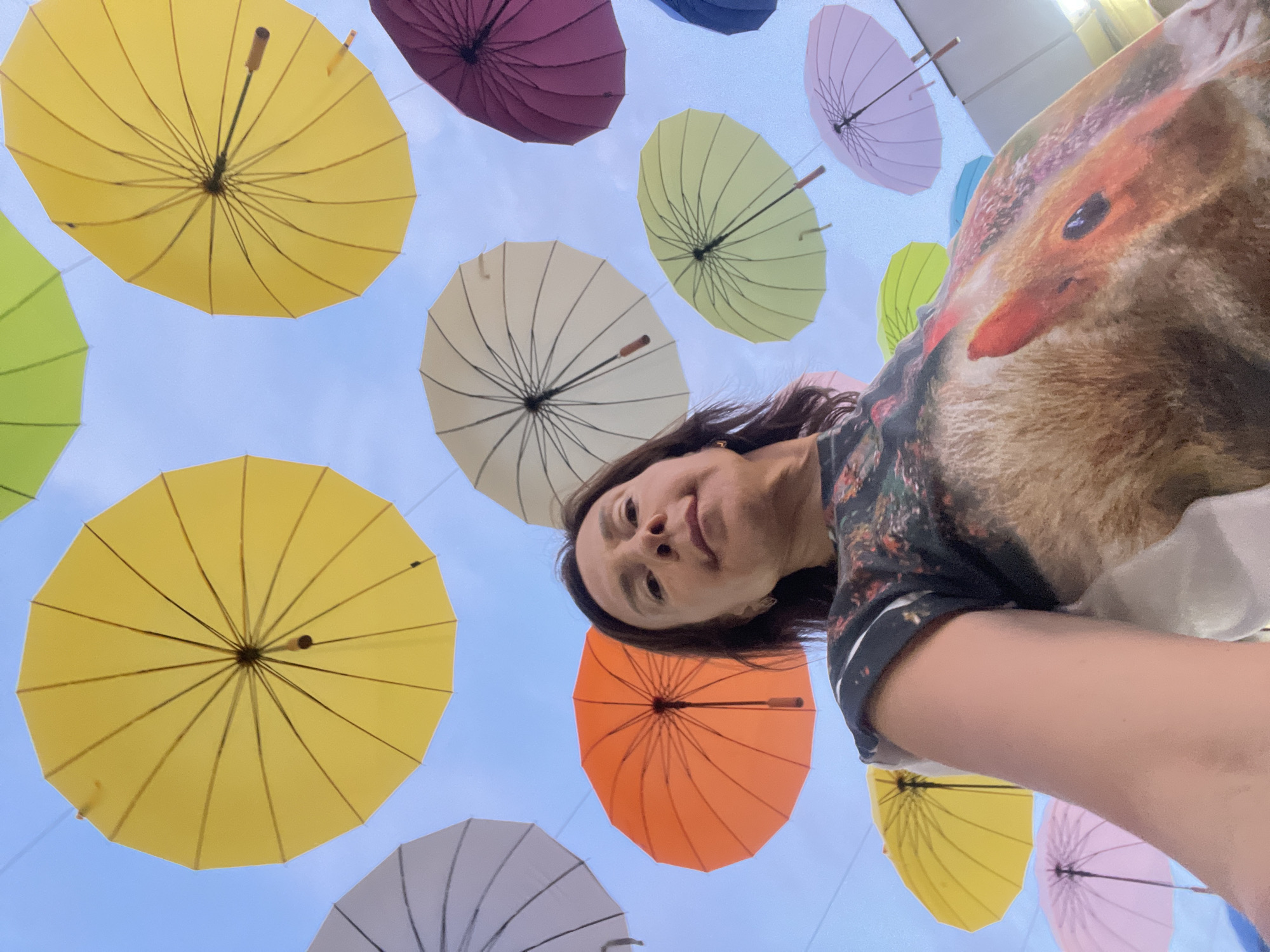 The image depicts a low-angle selfie of a woman looking upwards, with numerous colorful umbrellas suspended in the sky above her. The woman is wearing a dark t-shirt with a large, brown, furry animal print on it, possibly a fox or a similar creature. She has medium-length dark brown hair and appears to be in good health. The umbrellas are arranged in a haphazard, open fashion, creating a canopy effect against a clear blue sky. Colors include yellow, orange, purple, light gray, light green, and pink. The scene is set in Sochi, Russia, suggesting an outdoor public space decorated with this umbrella installation. The lighting indicates it is daytime, likely under sunny conditions, as there are no shadows visible on the umbrellas from other objects. The image quality is good, with a slight fisheye effect due to the wide-angle lens used for the selfie.
