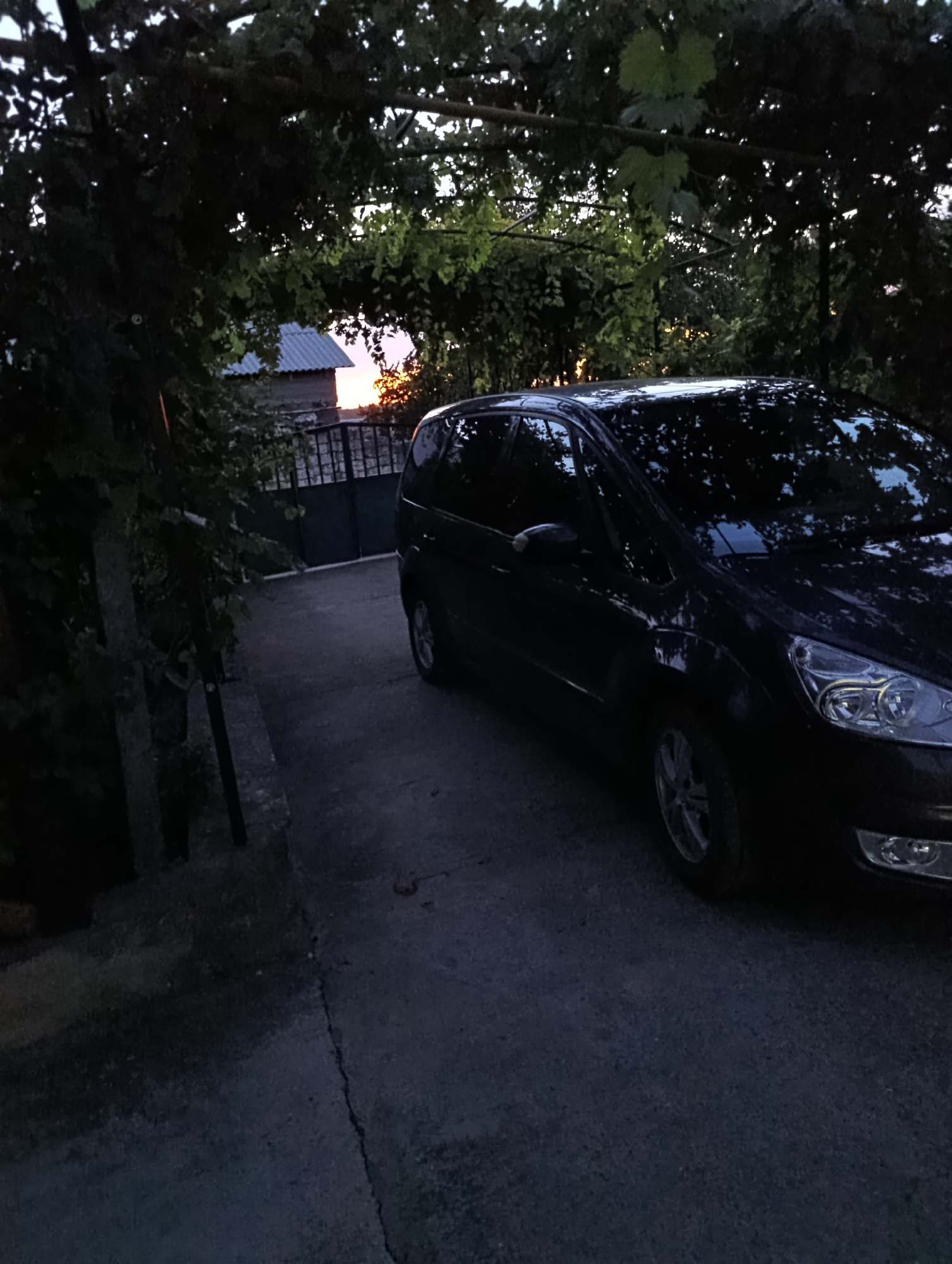 In Roghi, Moldova, a dark-colored minivan is parked on a paved driveway. The vehicle is positioned at an angle, facing towards the right side of the frame. Lush green foliage hangs overhead, creating a natural archway over the driveway and partially obscuring the sky. In the background, a small building with a gray roof is visible, along with a dark metal gate. The setting appears to be dusk or early evening, with a soft light illuminating the horizon behind the foliage. The scene is dominated by natural elements and the presence of the vehicle, suggesting a residential or semi-rural environment.