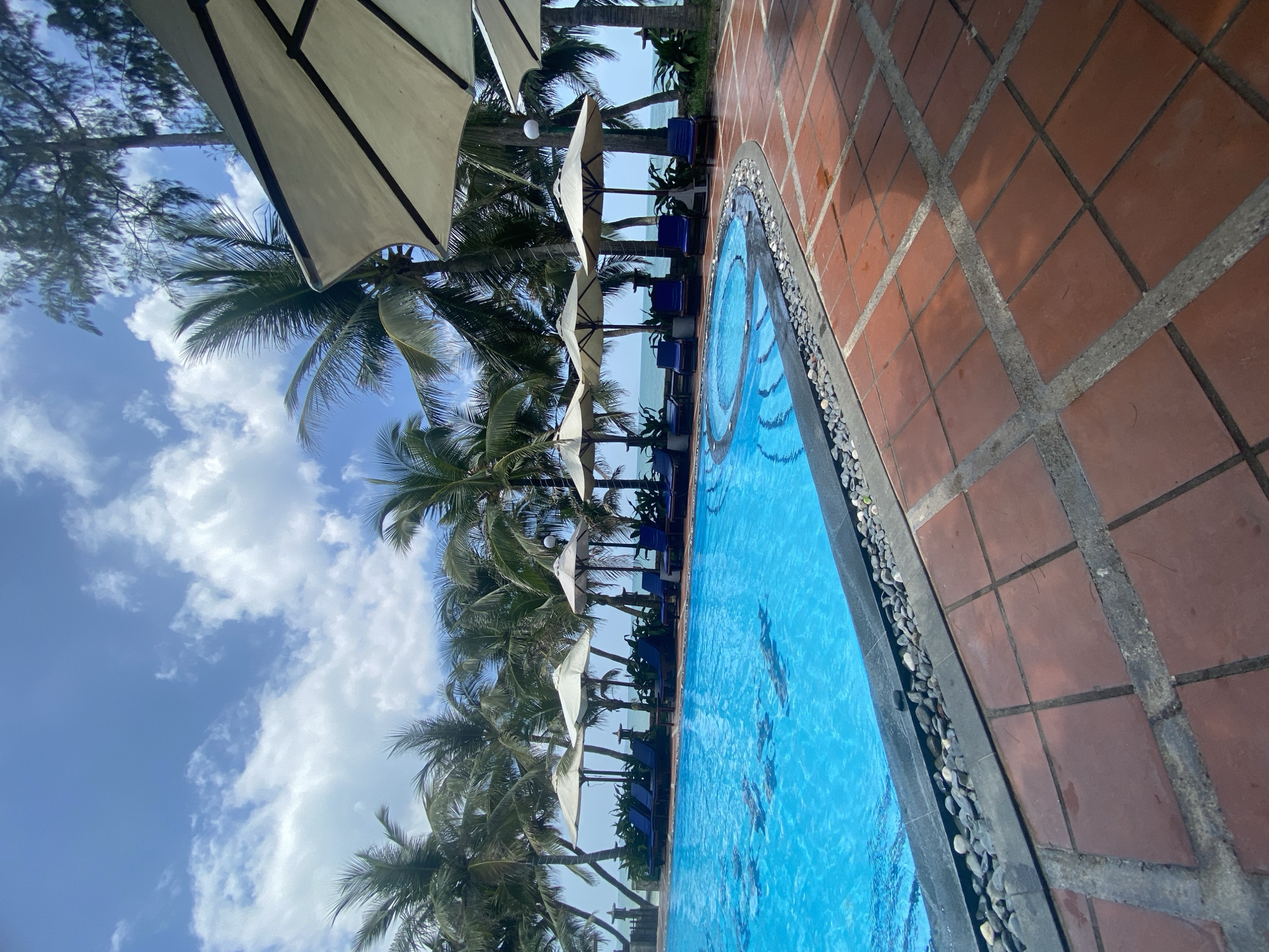 A bright blue swimming pool sits adjacent to a paved patio area with terracotta tiles. Several lounge chairs and large white umbrellas are arranged around the pool, shaded by a line of palm trees. In the background, the ocean is visible under a partly cloudy sky. The image appears to have been taken at a resort in Phu Thuy Ward, Vietnam.