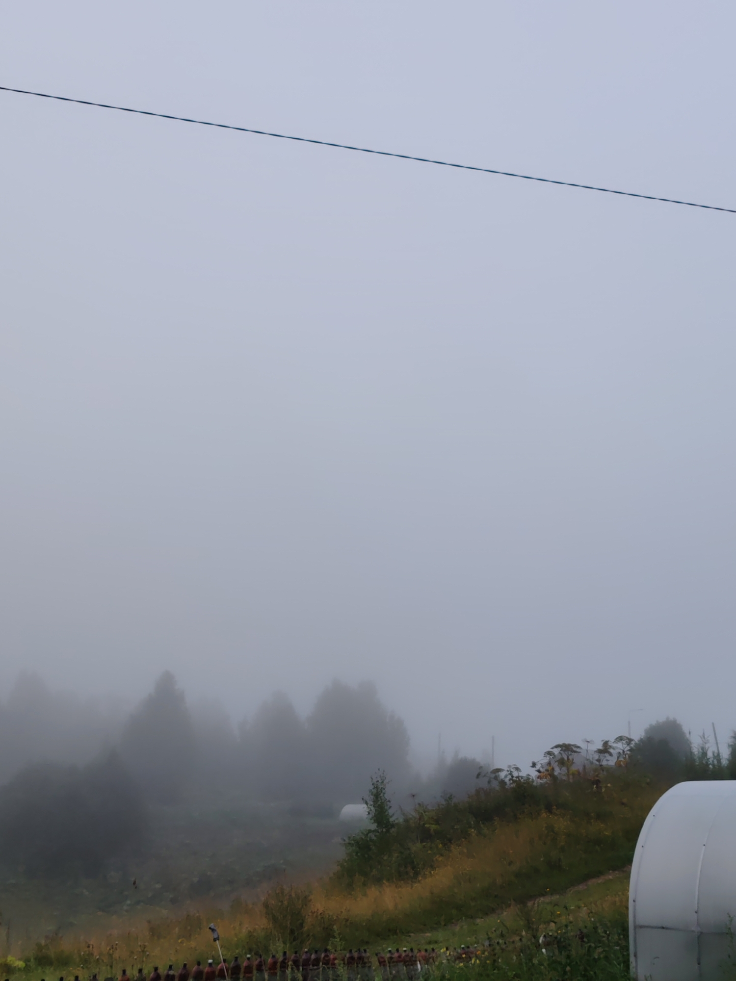 In Чухлэм, Russia, on a foggy day, a line of people dressed in uniforms with hats stand in formation in the foreground. To the right, a white, arched structure, possibly a greenhouse, is partially visible. The background features a hillside with tall, leafy plants and trees partially obscured by the fog. A power line stretches across the upper portion of the image.