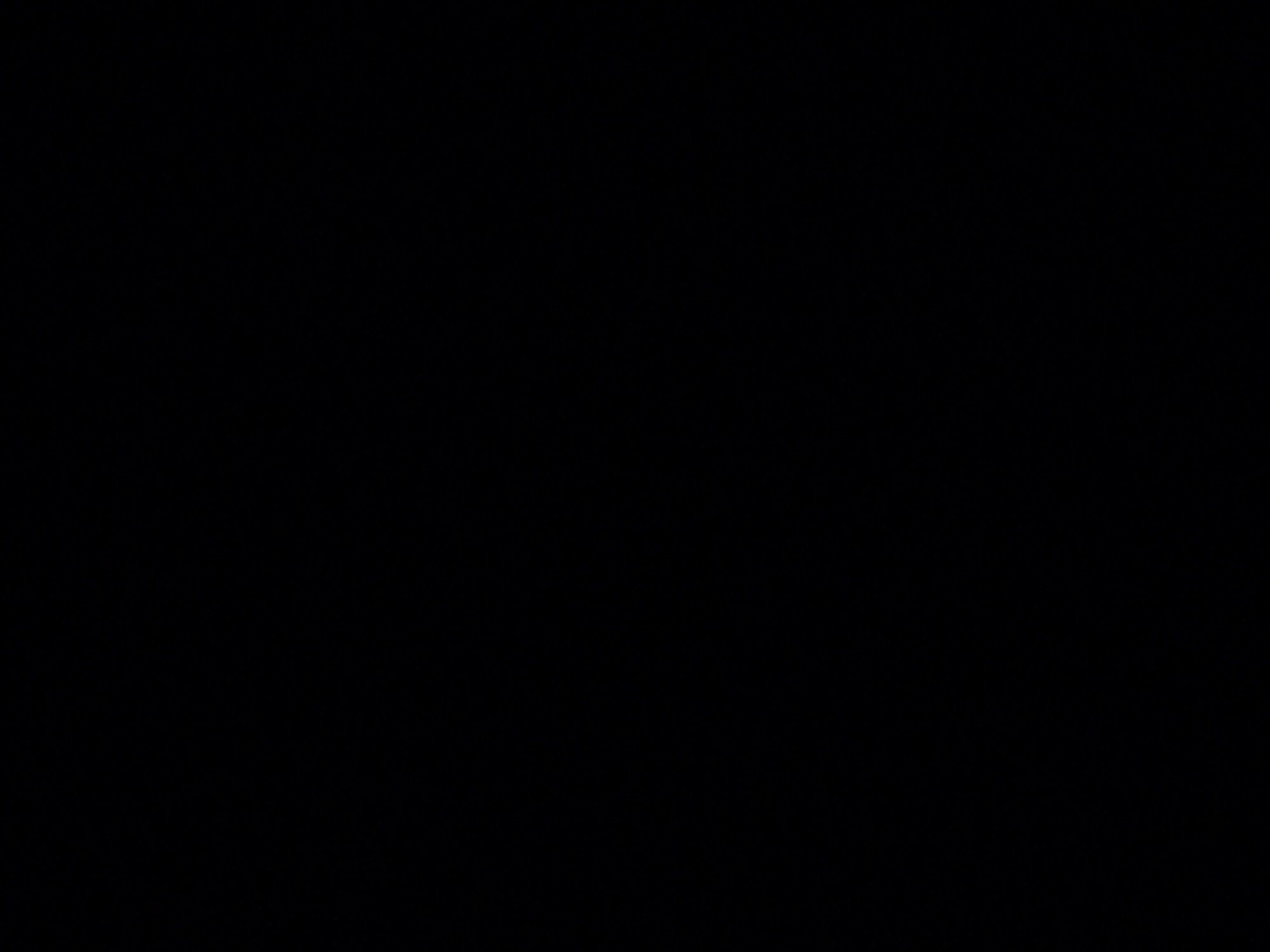 The image is entirely black, providing no discernible visual information. There are no subjects, objects, actions, interactions, people, or environmental details to analyze. Therefore, it is impossible to provide a location, including Yerevan, Armenia.