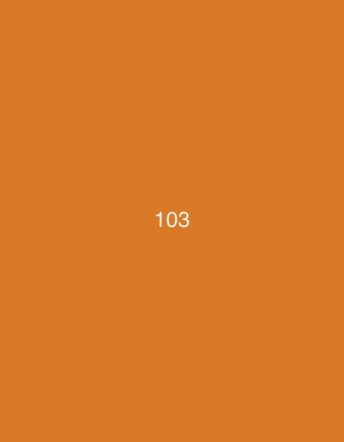 The image is a plain orange background with the number "103" in white text centered horizontally and located in the lower half of the frame. There are no discernible elements of Đà Nẵng, Vietnam, or any people, subjects, objects, or actions.
