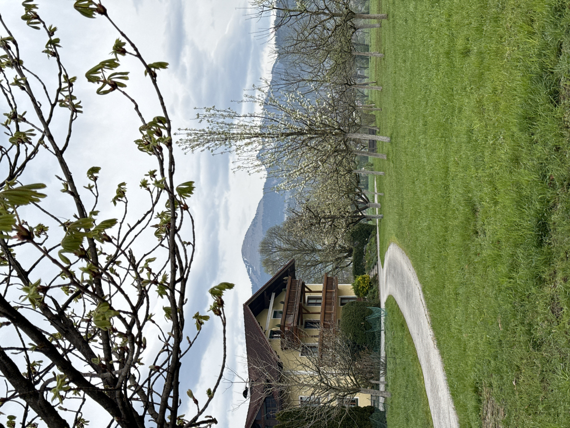 The image depicts a landscape in Moos-Siedlung, Austria, under a cloudy sky. A tree with nascent green leaves is prominent in the foreground. To the right, a yellow, multi-story house with brown balconies is visible. Beyond the house, a winding concrete path leads through a green grassy field bordered by trees in bloom. In the background, a mountain range is partially obscured by clouds. No people are visible in the scene.