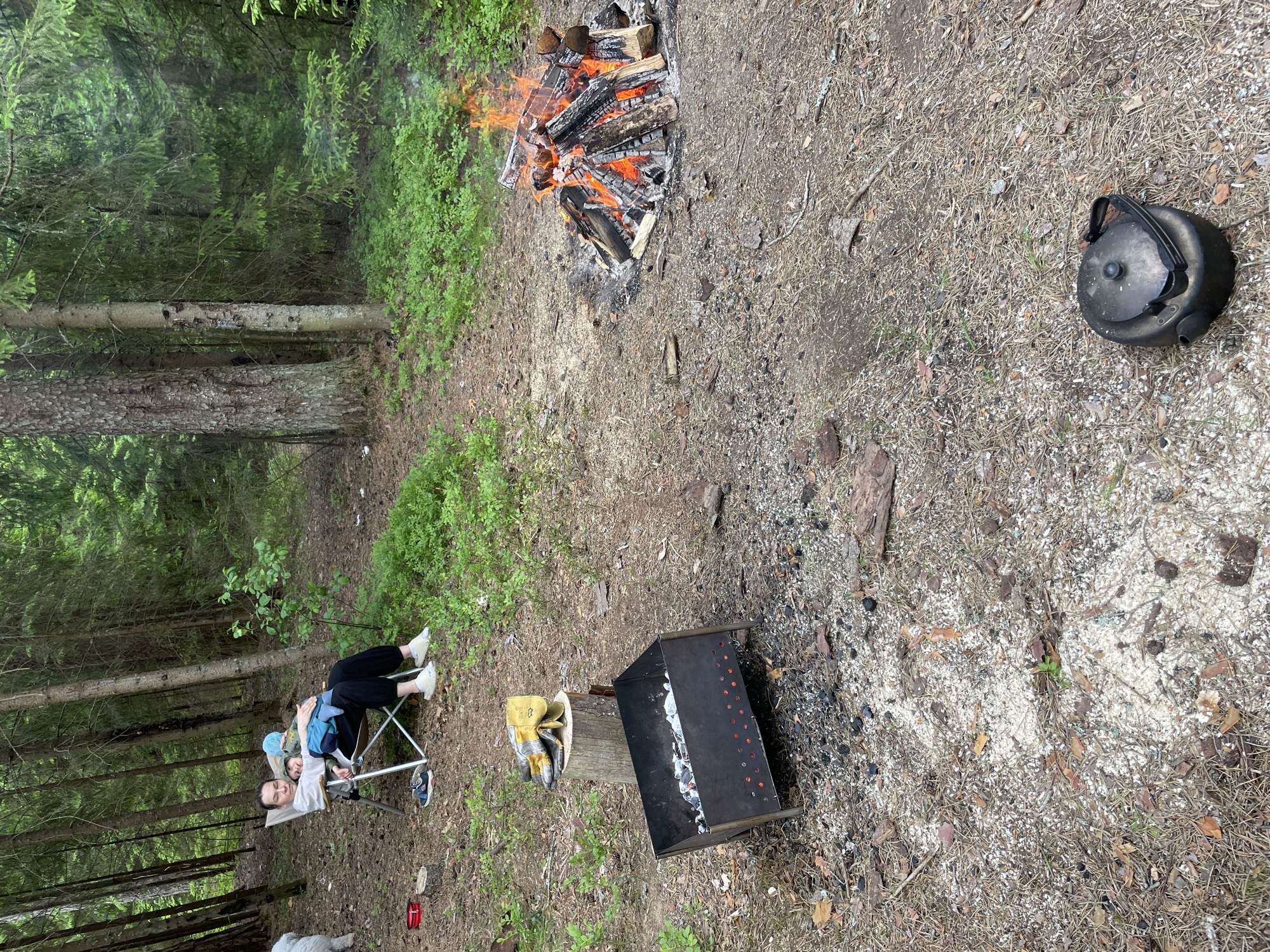 In a forest clearing near Roshchino, Russia, a woman sits in a foldable chair holding a sleeping child. A campfire burns to the right, with a metal grill to the left. Work gloves sit atop a tree stump. A black teapot rests on the ground.