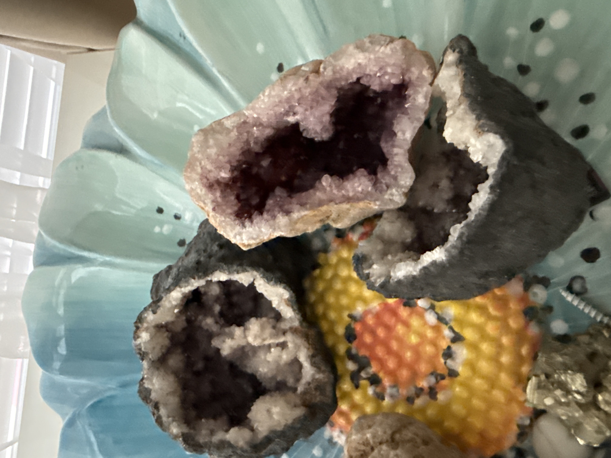 The image displays a collection of geodes and other mineral specimens arranged within a decorative, flower-shaped dish. The dish itself is a light blue and green ceramic, with petal-like indentations. Several geodes are visible: one large, dark geode with white crystal formations inside is positioned on the left side of the dish. To its right, a smaller geode with purple and pink crystal interiors sits slightly elevated. At the bottom of the dish, another dark geode with white crystals is visible, along with a scattering of smaller, lighter-colored stones and what appears to be a piece of pyrite. A circular, textured object with a pattern of yellow and orange is also present in the foreground, beneath some of the geodes. The background is out of focus, showing what appears to be indoor blinds and a hint of natural light. This image does not depict any recognizable landmarks or features that would allow for identification of a specific location within the city of Burgas, Bulgaria.