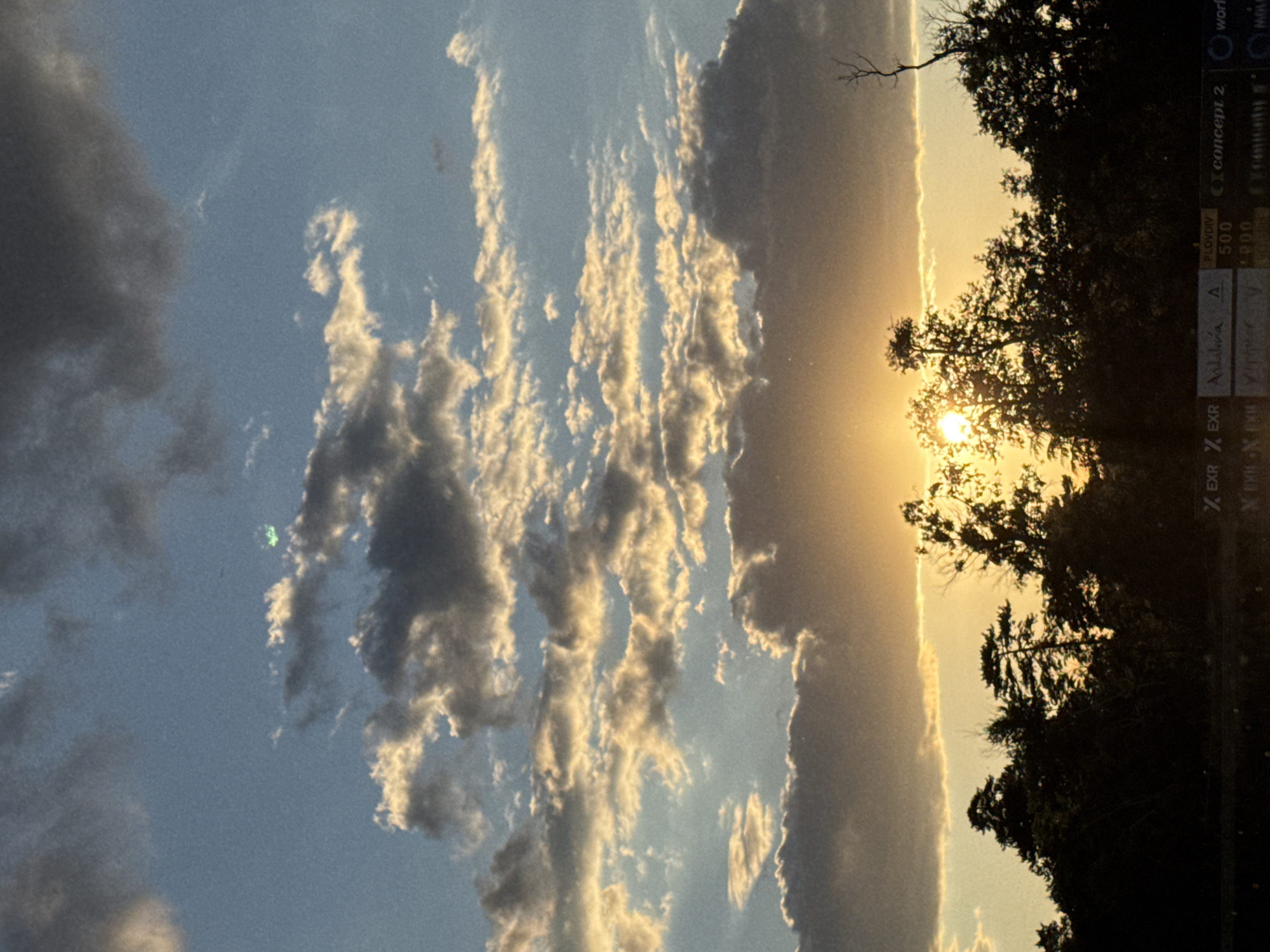 The image captures a sunset scene over a dark, silhouetted treeline. The sky is filled with a dramatic array of clouds, illuminated by the warm, golden light of the setting sun. Some clouds are dark and ominous, while others are edged with bright, fiery hues. A faint green light is visible in the upper portion of the sky. The foreground is dominated by the dark silhouettes of trees, suggesting a natural landscape. Below the trees, a band of text is visible, containing what appears to be sponsor logos and text, including "Plovdiv", "concept 2", and "work". The setting is likely an outdoor venue or park area in Plovdiv, Bulgaria, possibly during an event given the sponsor signage. No people or specific actions are depicted.