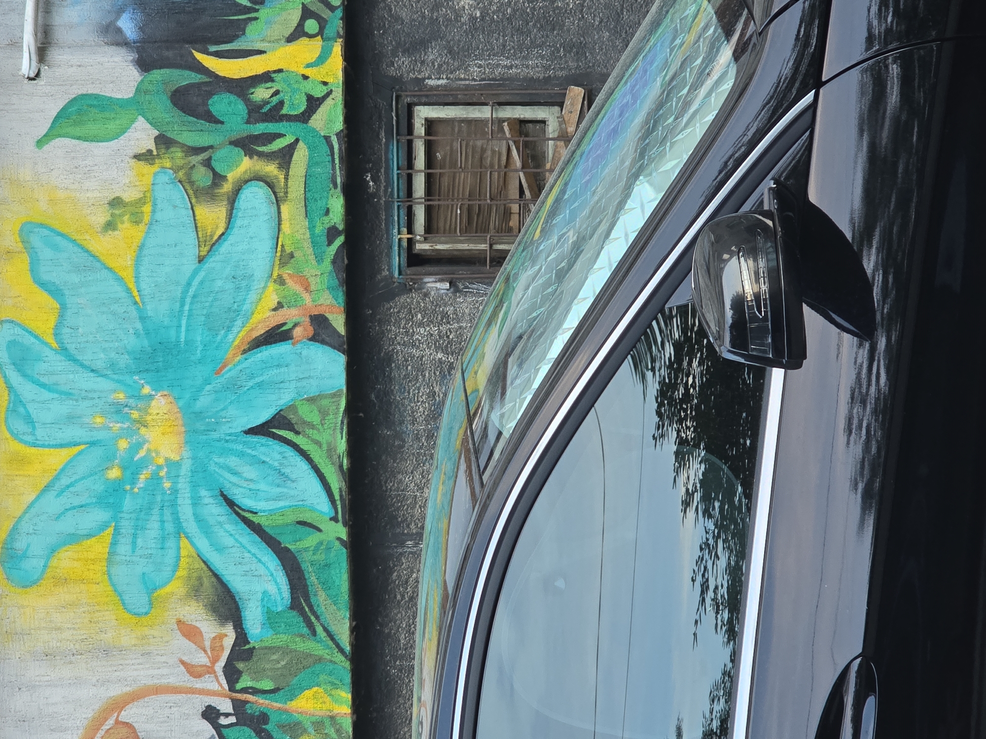 A black Mercedes sedan is parked in front of a rough, dark grey textured wall adorned with graffiti. Above the wall, a vibrant mural of a large, stylized turquoise flower with yellow accents and green foliage is painted on a light grey background. To the right of the flower mural, more abstract green and yellow shapes are visible.
The sedan features a side mirror that reflects the turquoise flower mural. The car's windshield is covered with a reflective sunshade, causing a rainbow-like iridescence. To the right of the car, a small, grimy, square window is set into the grey wall. The window frame is dilapidated, with a metal grate across it and broken wooden planks partially covering the opening. The ground level below the wall is not visible. The lighting suggests it is daytime, with a soft, overcast sky reflected in the car's windows.