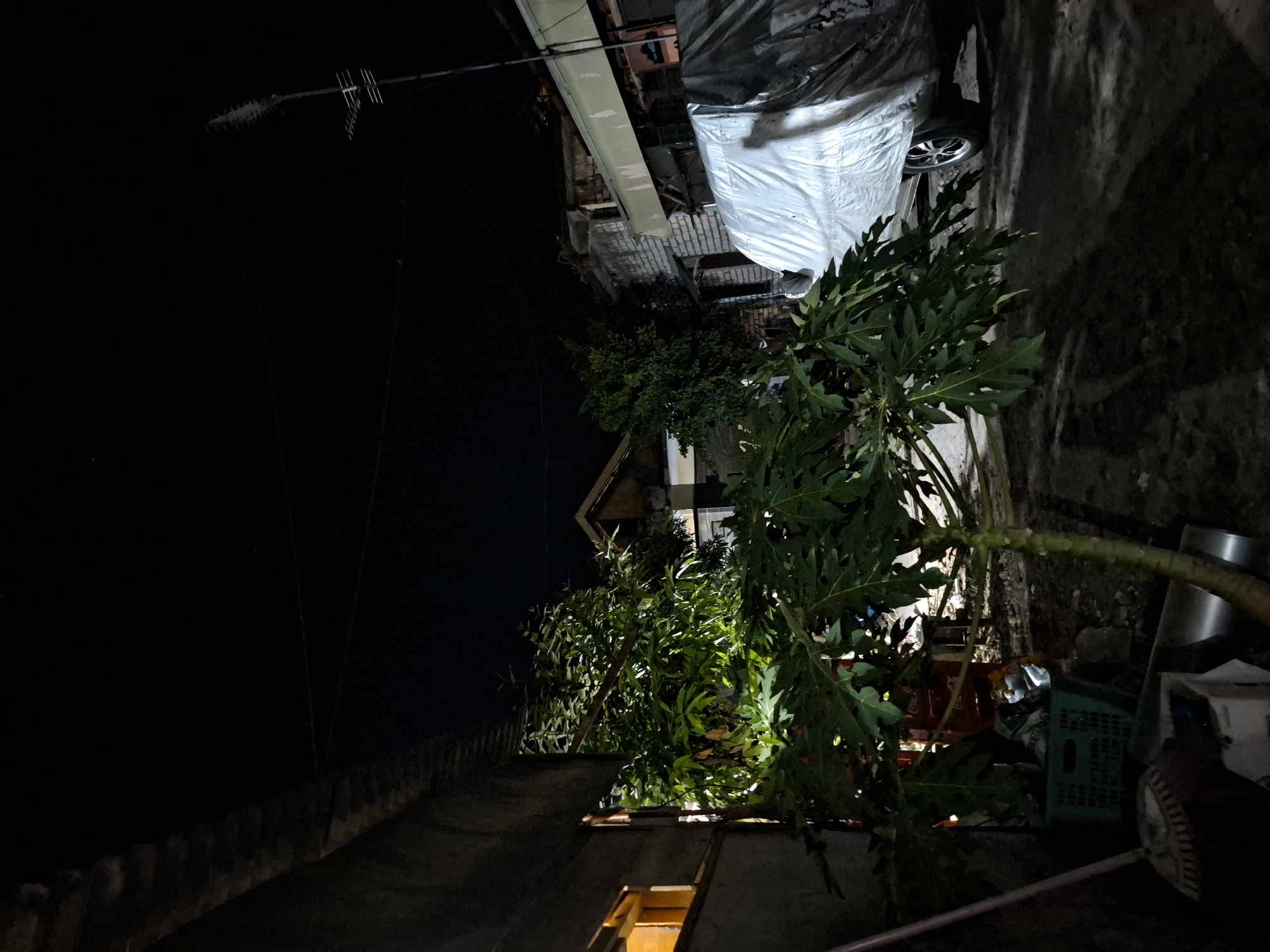 The image captures a dark, outdoor scene likely in Bulubrangsi, Indonesia, at night. A small papaya tree stands prominently in the foreground, its large green leaves illuminated by an unseen light source. To the left, a rustic building with a visible window emitting a warm orange glow is present, alongside a broom leaning against it. A green plastic crate containing items is visible near the base of the tree. Further into the background, a vehicle covered with a silver tarp is parked. Behind the covered vehicle, several structures appear to be made of brick, with some showing signs of disrepair. A tall antenna juts into the dark sky on the right side of the frame. The ground is uneven and appears to be dirt or gravel, with shadows cast across it. The overall atmosphere is dimly lit and somewhat cluttered, suggesting a residential or informal commercial area.