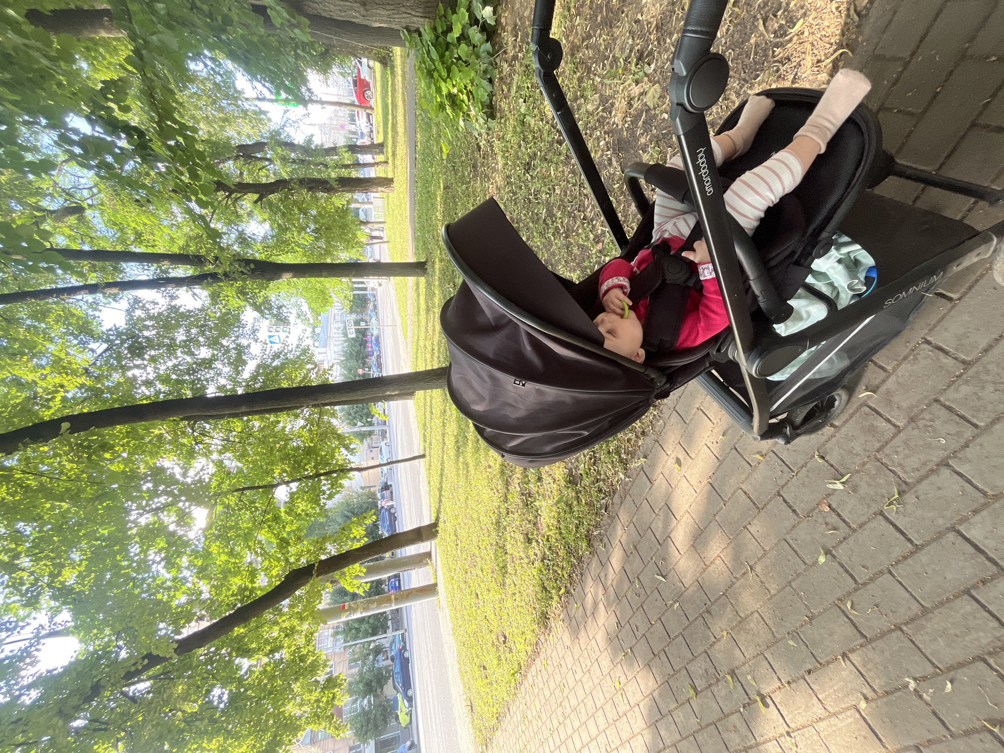 A baby sleeps in a black stroller on a paved sidewalk next to a grassy area with trees. The baby is wearing a pink shirt and striped socks. The stroller has the brand name "Amorbaby" and "SOMNIUM" visible. Sunlight filters through the leaves of the trees, suggesting it is daytime and likely fair weather. The scene appears to be in a park or along a tree-lined street in an urban area, possibly in Voronezh, Russia, given the context. The overall mood is peaceful and serene, with the sleeping baby suggesting a quiet moment during an outing.