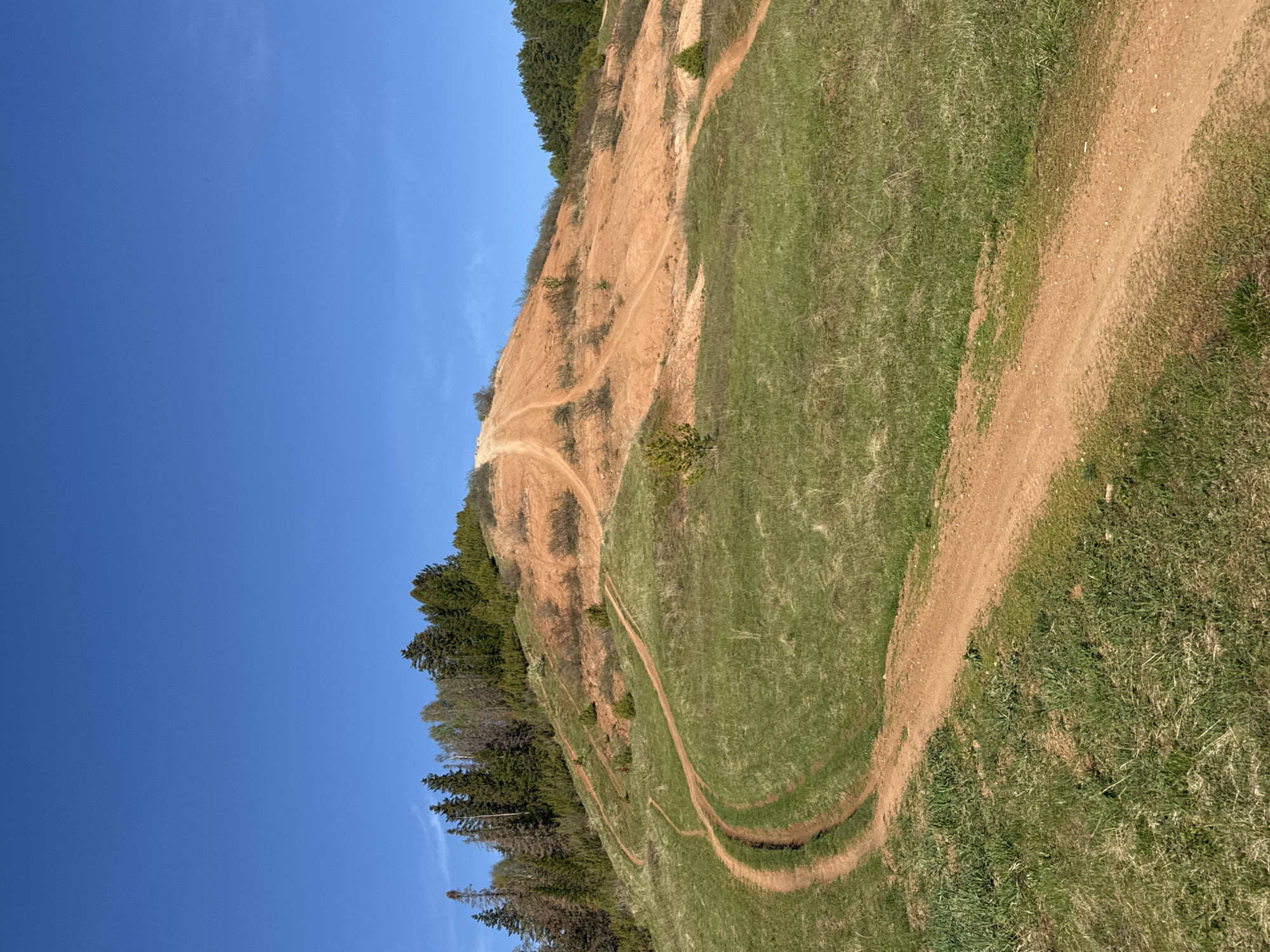 The image depicts a hillside scene in Ольховка, Russia. The hillside is characterized by a mix of grassy areas and exposed soil. A series of dirt trails or paths wind up the slope. The hillside is bordered by trees on the left side of the image. The sky is clear and blue, occupying the upper left portion of the frame. The image is oriented vertically.