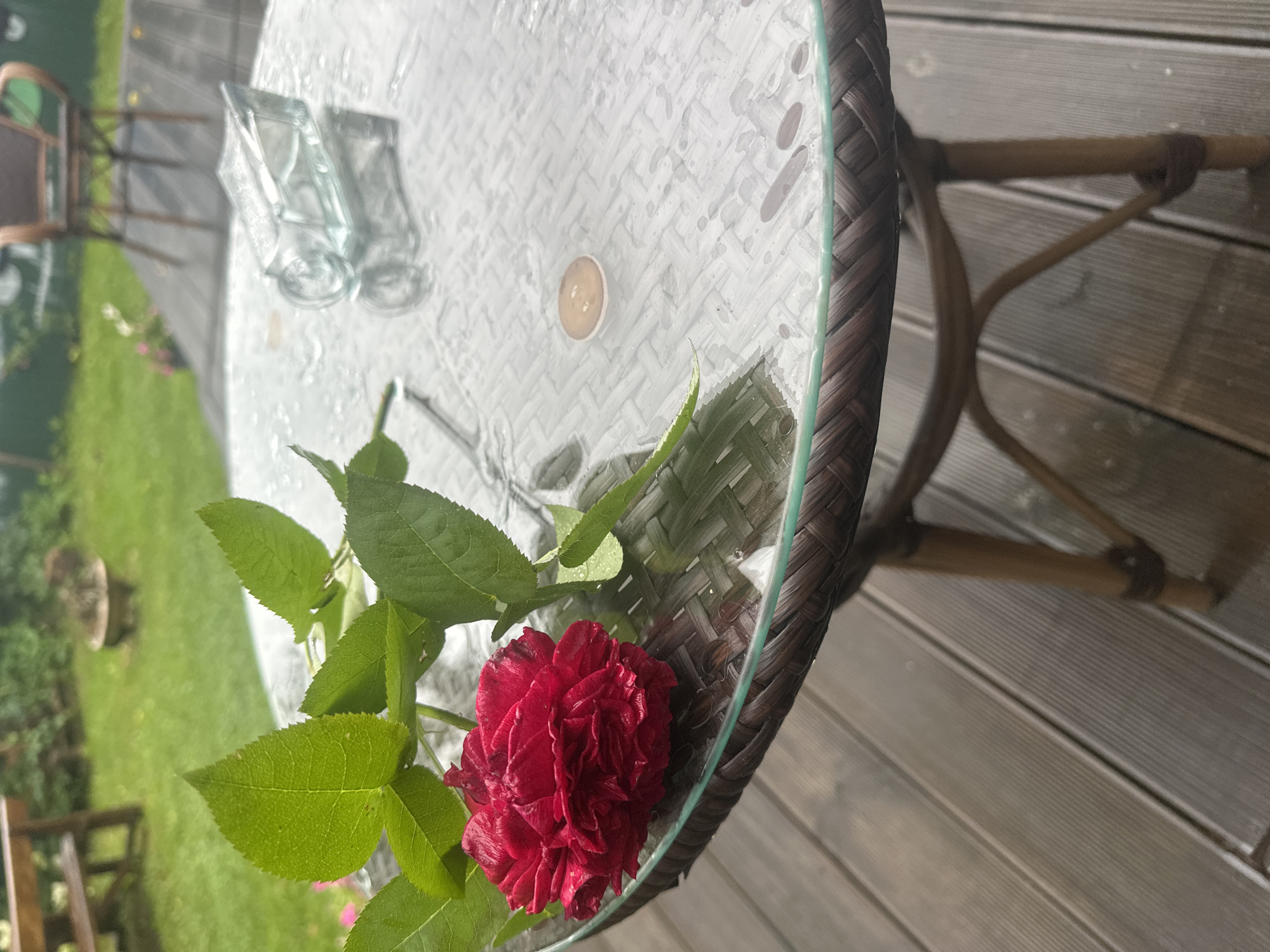A close-up, eye-level, outdoor shot features a dark red rose and its green leaves resting on a wet, glass-topped patio table. The table has a woven brown wicker base and legs, and it sits on a dark wood deck. To the right on the table is a clear, rectangular glass object, possibly a vase or decorative piece, lying on its side. Further to the right, a small, light brown disc, possibly a tea light candle, is also on the table. The background is blurred, showing a green lawn, a wooden bench in the upper left, and a chair in the upper right. The overall setting suggests a garden or patio area in a domestic or public space. The image does not depict any people or specific landmarks that would identify its location within Staritsa, Russia.