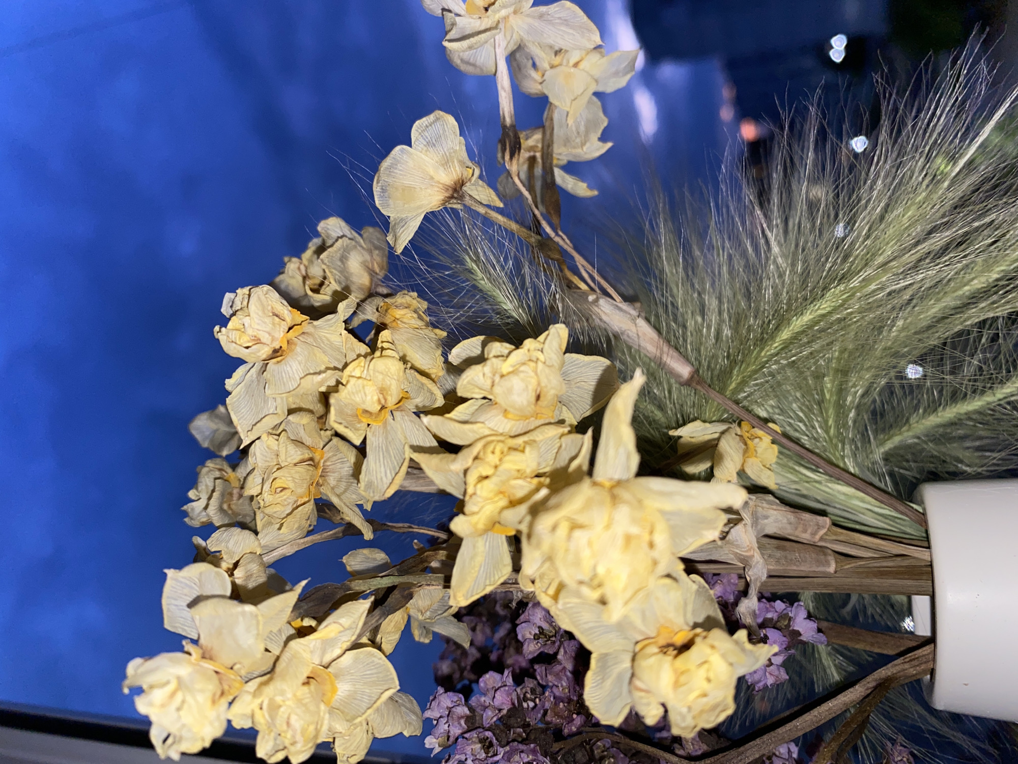A close-up shot captures a bouquet of dried yellow daffodils in a white vase. The flowers are arranged with some dried purple flowers and feathery green grass. In the background, a dark blue sky with wispy clouds is visible, along with blurry lights that suggest a city at dusk. The image does not provide any information about the city of Chaikovsky, Russia.