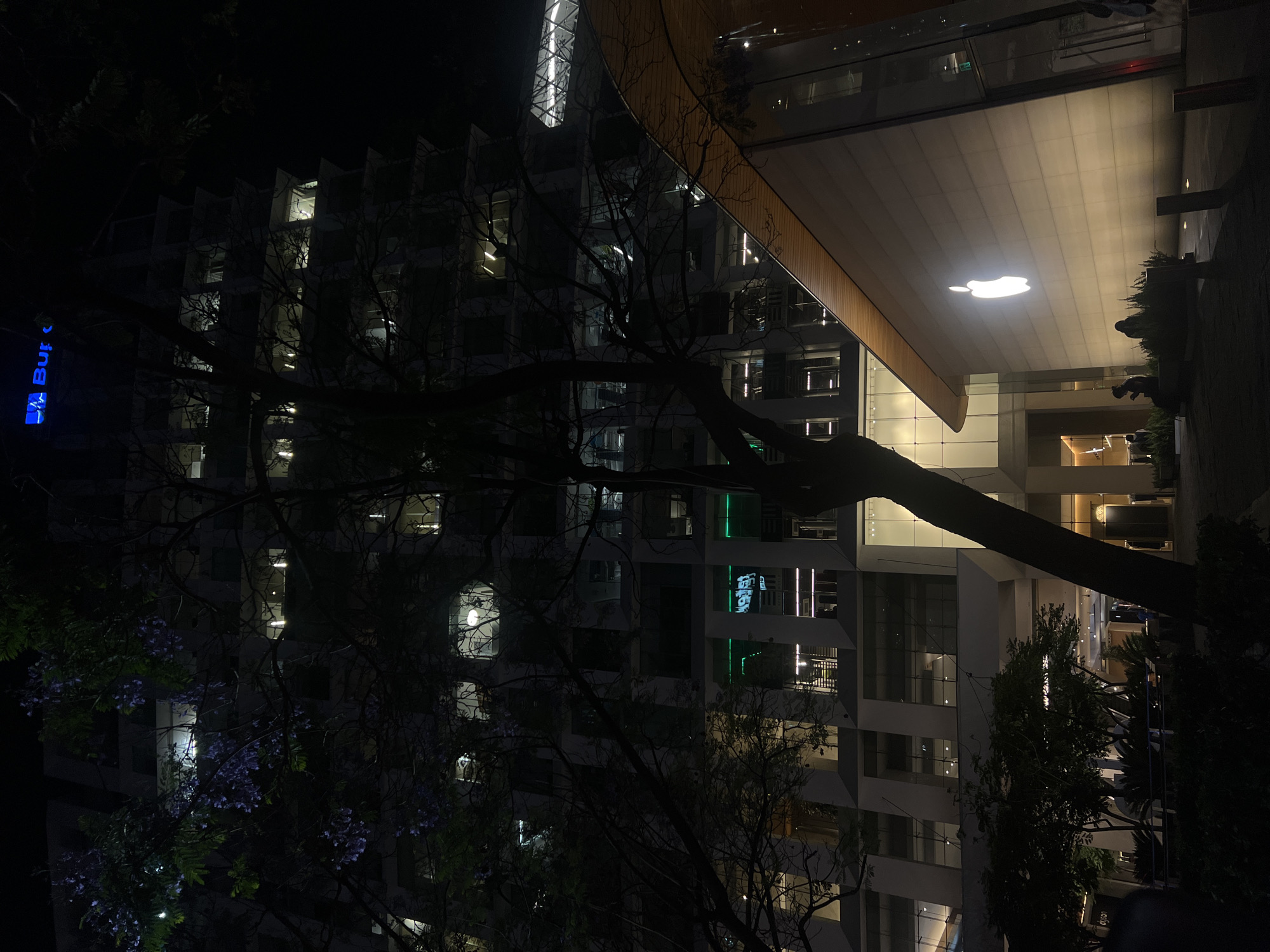 The image depicts a nighttime scene in Mexico City, Mexico, featuring a modern architectural complex. The primary subjects are buildings illuminated with internal lighting, along with illuminated signage bearing the corporate logo for Apple. A tree with bare branches partially obscures the view of the buildings. The environment is dark, typical of a night setting. The composition includes elements such as lighting, architecture, and natural elements. The general interaction involves the interplay between urban development and natural scenery in an urban environment.