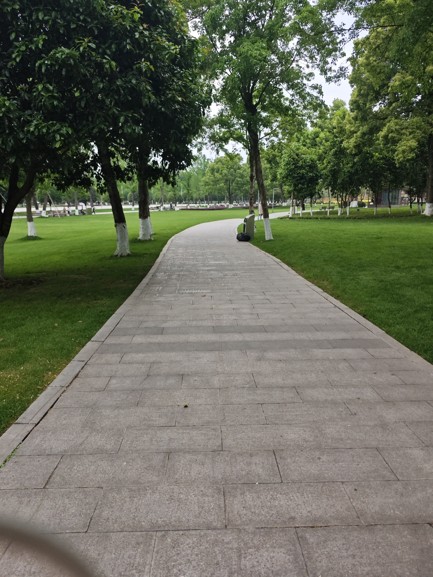 A paved path extends into a park setting in the Liangjiang New Area, Chongqing, China. Green grass covers the ground on either side of the path, interspersed with trees. The lower trunks of several trees are painted white. In the distance, people can be seen relaxing on benches. A small green object sits to the right of the path and in line with the grass. The image is taken at ground level.