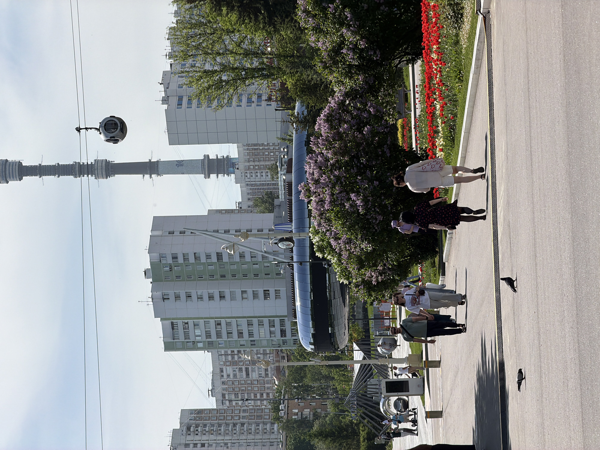 Here is a forensic description of the image:
The image depicts a street scene in Moscow, Russia, notable for the Ostankino TV Tower in the background. The scene is bathed in daylight, with clear skies above. The architecture includes both older residential buildings and modern high-rise apartments. Several people are present on the paved path or walkway. Some are walking along the path, while others appear to be near an informational display of some kind. There are trees and plants in bloom, including purple lilac bushes and flowers, and green trees, contributing to the urban landscape. Two birds are visible on the pavement. There's a metallic, curved structure resembling a modern art installation or public information display along the walkway. In the background, the Ostankino TV Tower is prominent, an iconic landmark of Moscow.