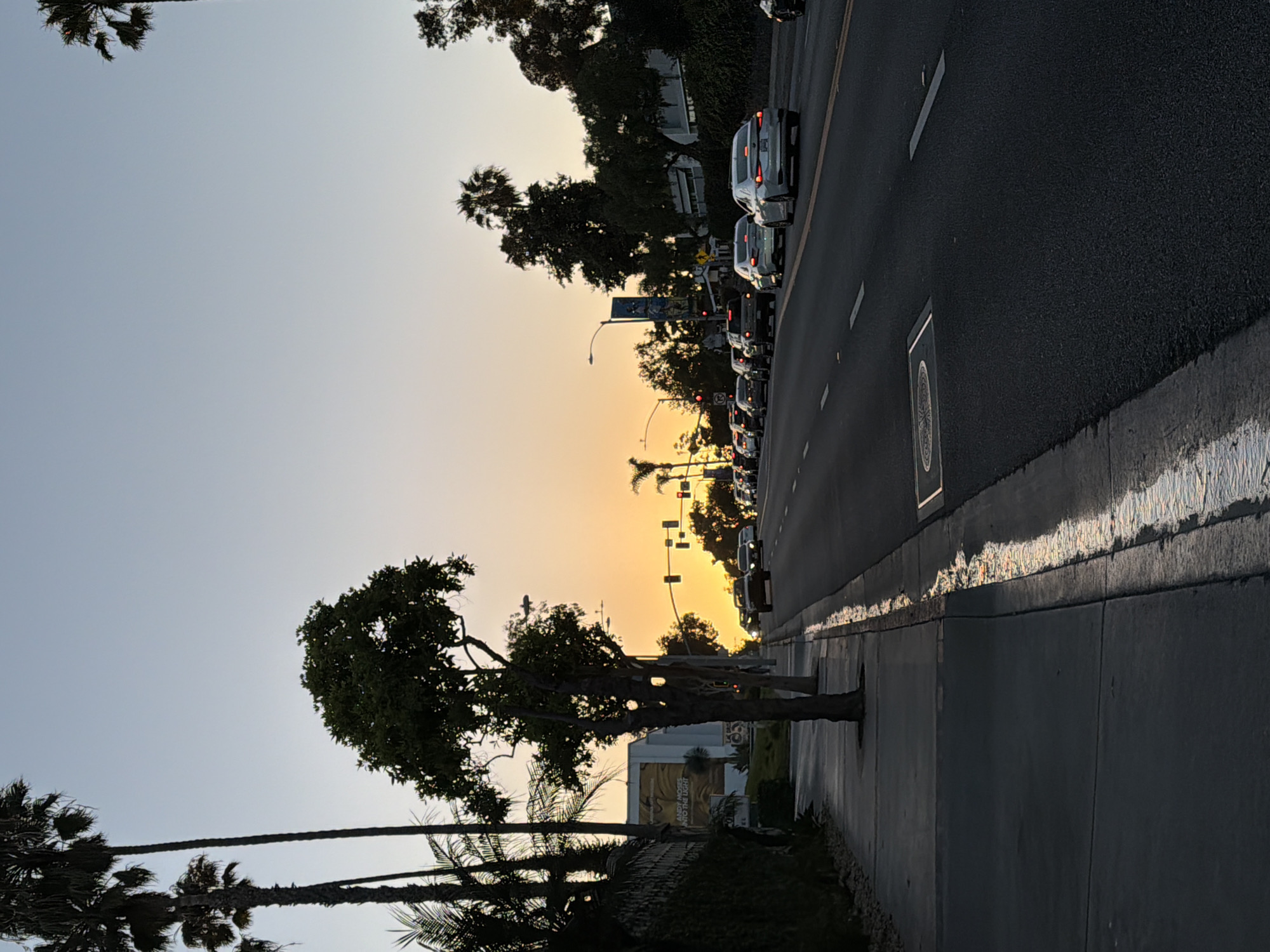 The image depicts a street scene in Laguna Beach, United States of America, during what appears to be either sunrise or sunset. The sky is a gradient of light blue at the top, transitioning to a warm yellow-orange hue towards the horizon. Several palm trees are visible on the left side of the image, with their fronds silhouetted against the sky. A single, more prominent tree stands on the sidewalk to the left of the road, its branches reaching upwards.
The road itself is paved and features lane markings. A line of cars is traveling on the road, indicating moderate traffic. The cars are diverse in make and model, and they are all facing the same direction. On the right side of the road, more trees and some buildings are visible, partially obscured by foliage.
The sidewalk on the left is paved with concrete. There is a distinct line of light reflecting off the wet surface of the curb and gutter area along the sidewalk, suggesting recent rain or watering. In the distance, traffic lights are visible, indicating an intersection. The overall impression is a typical urban street scene bathed in the soft light of dawn or dusk.