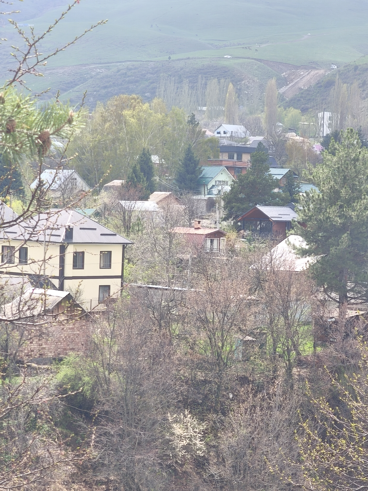The image depicts a view in Kashka Suu, Kyrgyzstan. Several houses are visible amidst trees and foliage. In the background, a hillside is observed. The foreground is dominated by branches of a tree, partially obscuring the scene. The general setting suggests a residential area within a mountainous or hilly region.