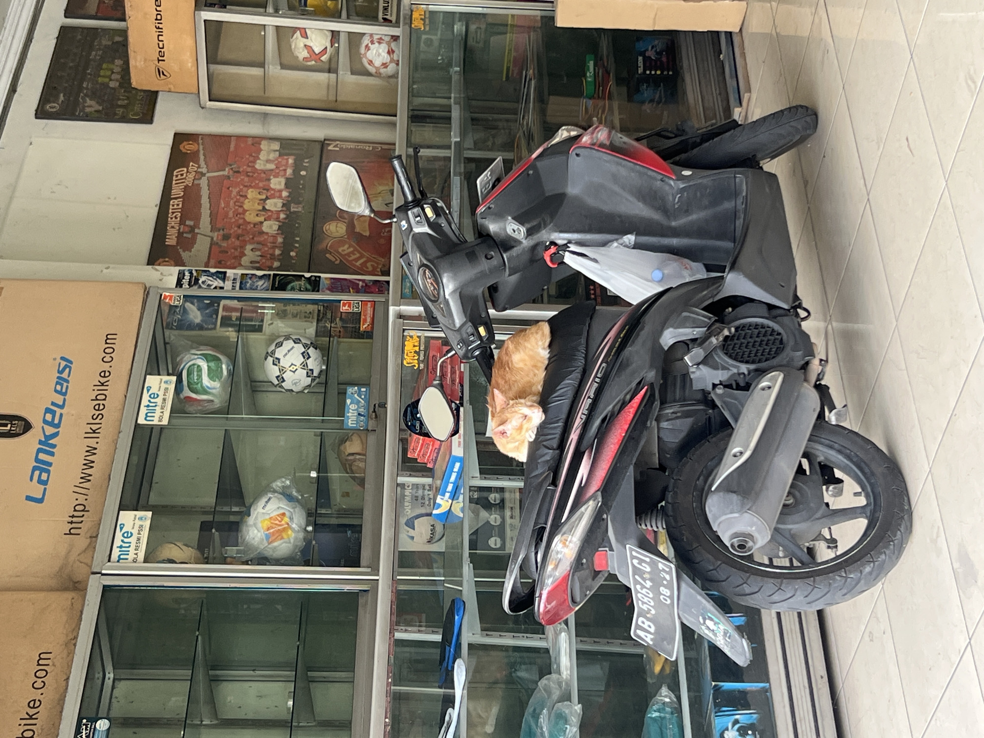 An orange cat sleeps on the seat of a black and red scooter parked in front of a sports equipment store in Yogyakarta, Indonesia. The store has glass display cases filled with various sports balls and equipment. A poster of a Manchester United football team is visible on the wall behind the scooter. The scooter has a license plate that reads "AB 5864 CI" and "08-27".