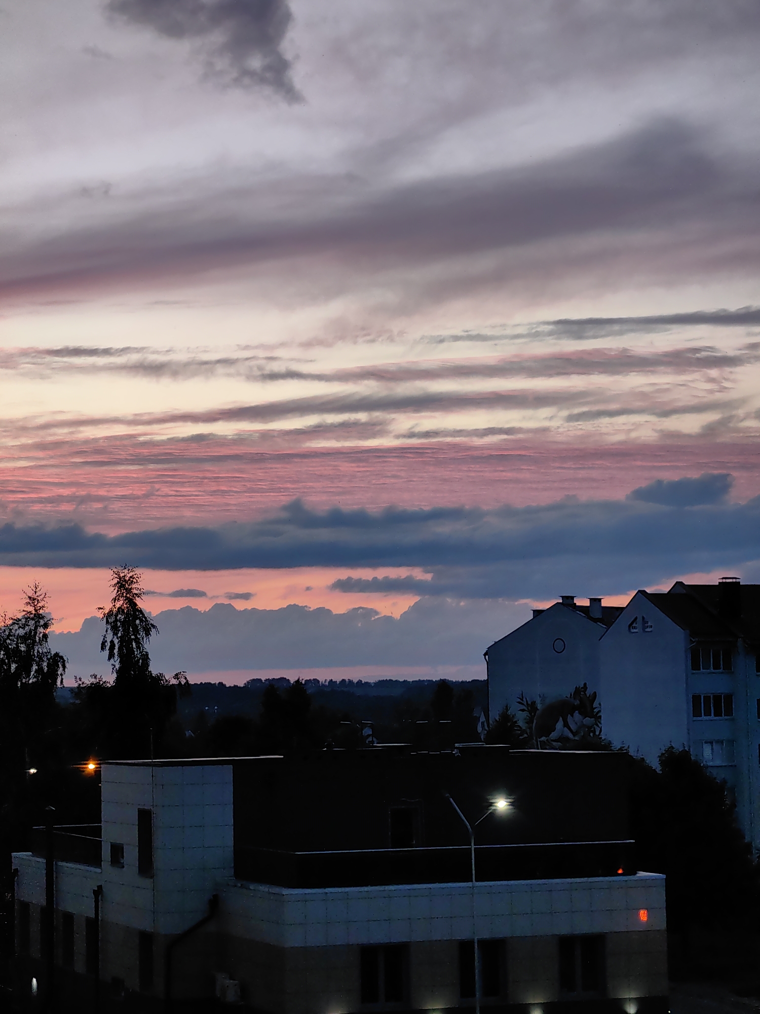 The image depicts a twilight sky filled with horizontal, striated clouds tinged with pink and purple hues, set against a backdrop of a dark, silhouetted cityscape. In the foreground, a modern building complex with flat roofs and white and grey facades is visible. One building features a mural of animals on its upper level. Trees are silhouetted against the sky and the buildings. The setting appears to be an urban environment, specifically identified as the city of Fanipal, Belarus. The lighting suggests it is either dawn or dusk. There are no people or discernible actions taking place in the image.