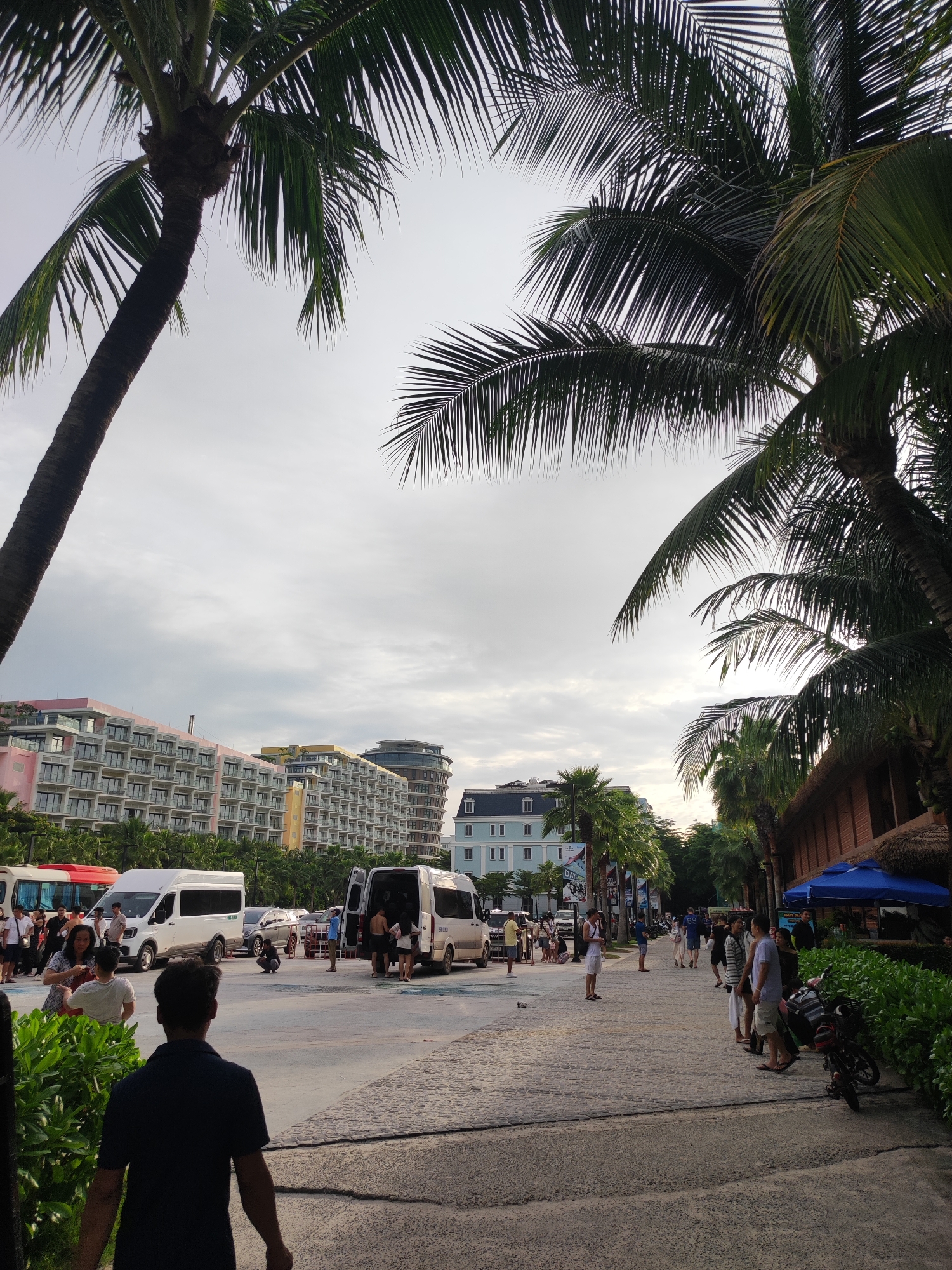 In the city of Phú Quốc, Vietnam, a paved walkway is lined with lush green foliage on the right and a row of tall palm trees casting shadows. Beyond the greenery and trees, a rustic wooden structure with a thatched roof and a blue awning is visible. The walkway is populated by several individuals, including a man in a dark blue t-shirt in the foreground, facing away from the camera. Further down the path, groups of people are standing and conversing, with some appearing to be tourists. To the left of the walkway, a wide paved area hosts several white vans and a red bus. In the background, a series of modern, multi-story buildings with balconies and windows are set against a cloudy sky. These buildings appear to be hotels or resorts, with one notably pink structure and others in yellow and blue hues. The scene suggests a lively tourist area with transportation services and accommodation options.