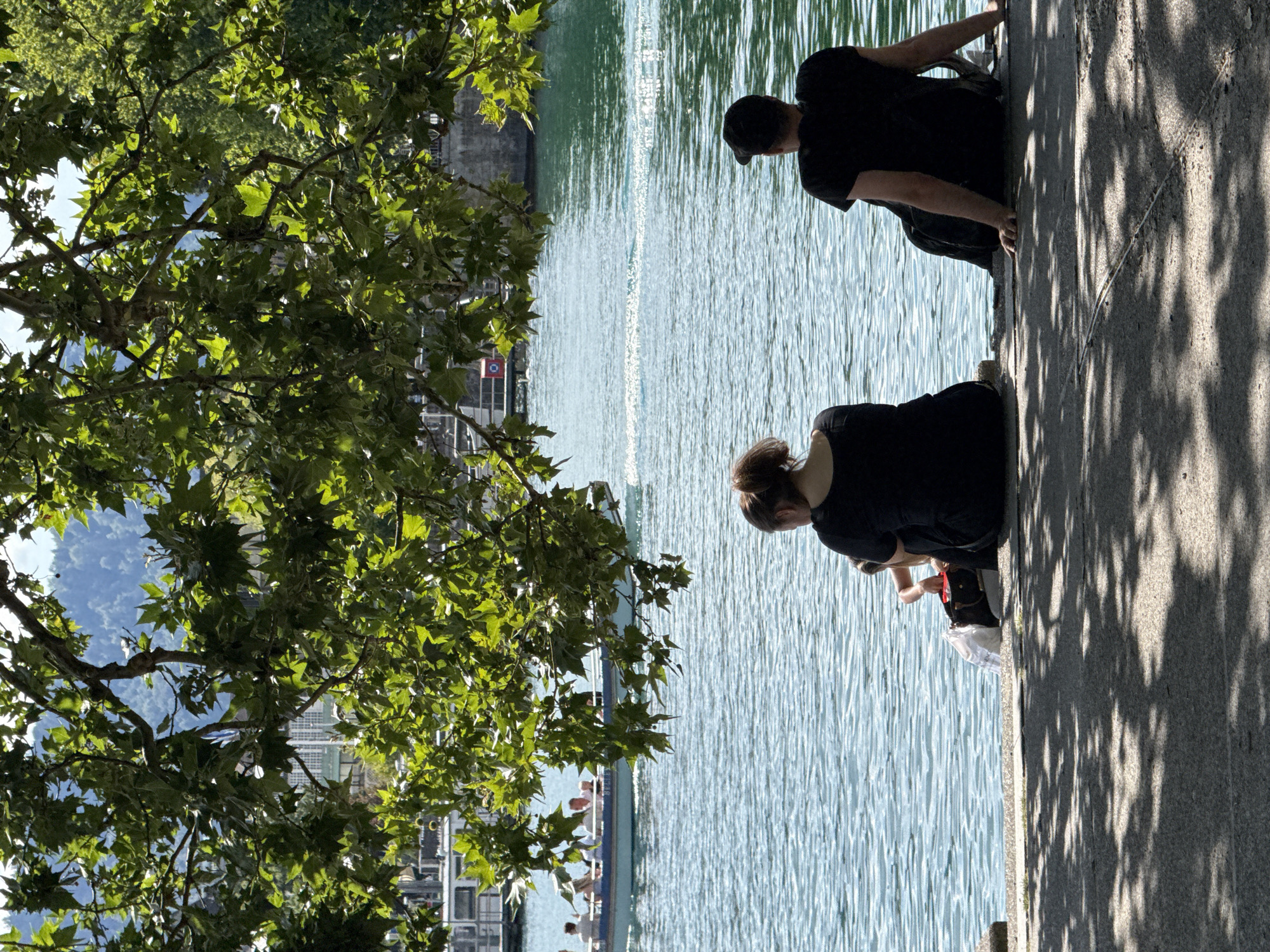 In Zurich, Switzerland, two individuals, seen from behind, are seated on a stone ledge by the Limmat river. The person on the left has reddish-brown hair tied back. They are wearing a black top. The person on the right is wearing a black t-shirt and a black baseball cap. Between them, a third person is partially visible, reaching into a bag. The river's surface is rippling under the bright sunlight. In the background, a tour boat with several passengers is moving across the water. The scene is framed by the dappled shade of a large tree with green leaves. Buildings and lush green hills are visible on the far bank of the river.