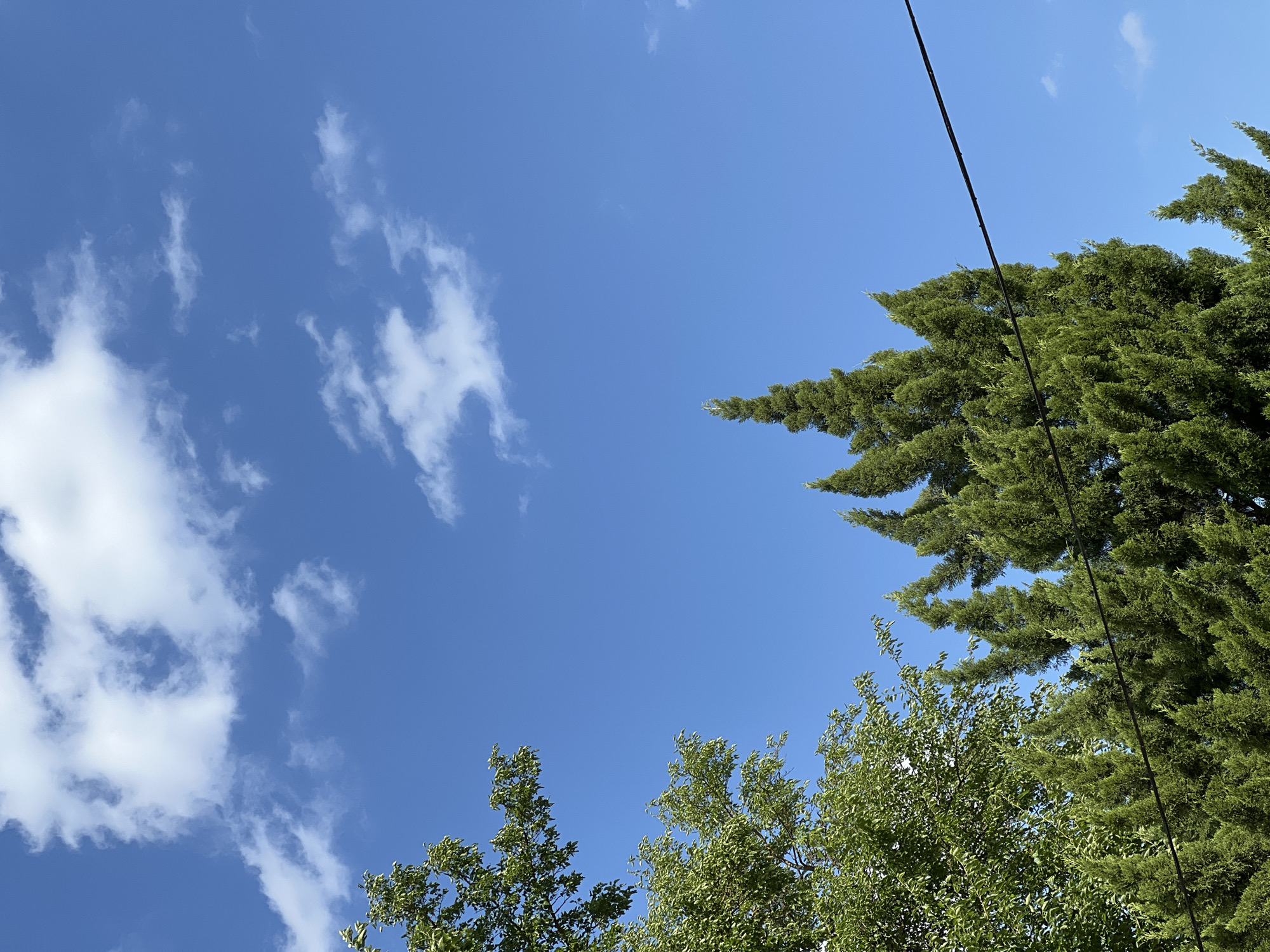A bright, clear blue sky with scattered white clouds dominates the upper portion of the image. In the lower half, lush green foliage from trees occupies the left and central areas. On the left, a deciduous tree with broad leaves is partially visible. To its right, a cluster of coniferous trees, likely cypress or juniper, with their characteristic narrow, pointed tops, are prominent. A dark, thin power line stretches diagonally from the bottom right corner towards the upper right. The scene appears to be an outdoor environment, possibly a park or residential area, given the presence of trees and the power line. The lighting suggests it is daytime, with the sun illuminating the scene from above and to the left. The location is identified as Lanžhot, Czechia.