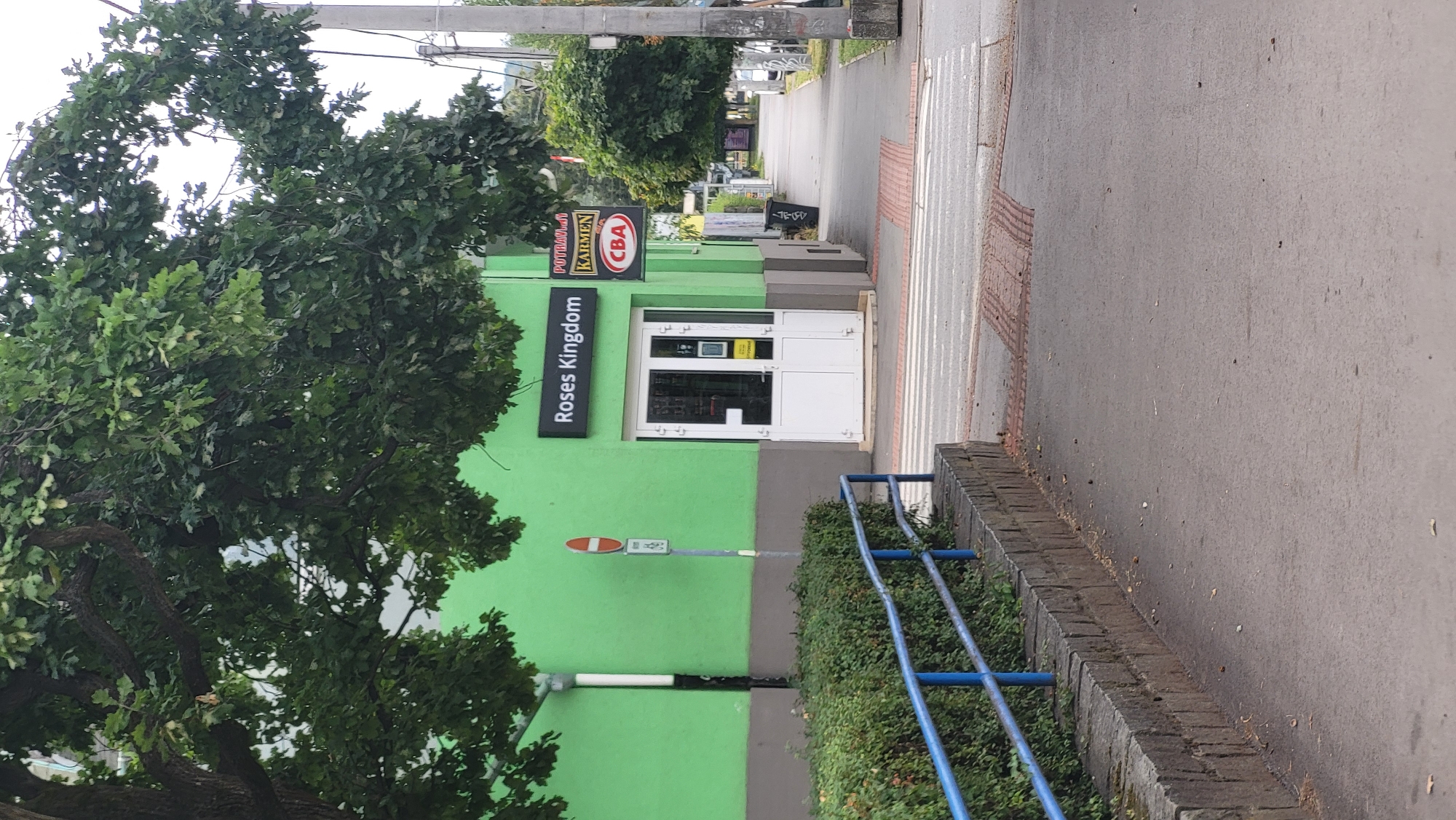 A bright green building with a gray base stands on a street in Prešov, Slovakia. Above the entrance, a black sign reads "Roses Kingdom". To the right of this sign are two smaller signs: one reading "POTRAVINY" with "KARMEN" below it, and another red circular sign with "CBA". The building has a double glass door entrance. In front of the building, a pedestrian crossing with white stripes is visible. A low stone wall topped with a blue metal railing runs along the left side of the image, separating a sidewalk from a green hedge. Large trees with green leaves overhang the building and the street. The street extends into the distance, with trees lining the right side and sidewalks. Power lines are visible running along a pole on the right. The ground is paved with asphalt and some fallen leaves are scattered on the sidewalk and street. The sky is overcast.