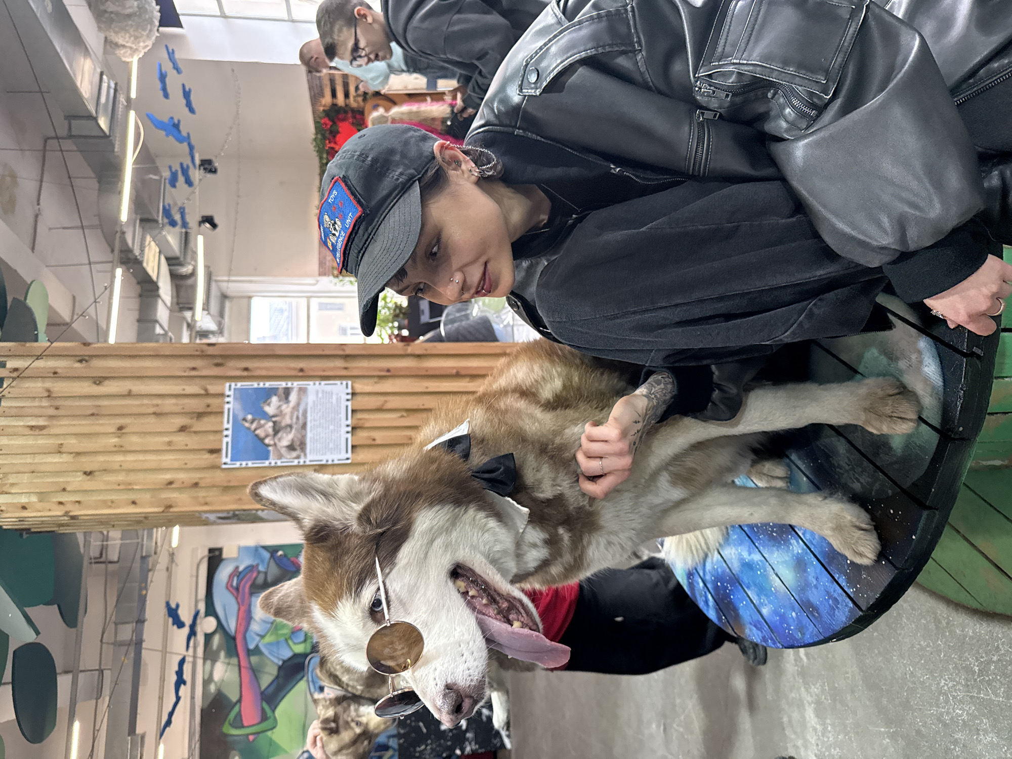The image shows a medium shot of a woman interacting with a husky dog. The woman, with dark hair and a black baseball cap that appears to have a patch, is wearing a black leather jacket. She is smiling slightly while looking at the dog. The dog is wearing sunglasses and a black bow tie. The woman is holding the dog. The dog's tongue is hanging out. The location appears to be indoors, with a mural on the wall behind the dog. Based on the description of the image being taken in Saint Petersburg, Russia, and the mural in the background, the image was taken inside the Republic of Cats cafe.