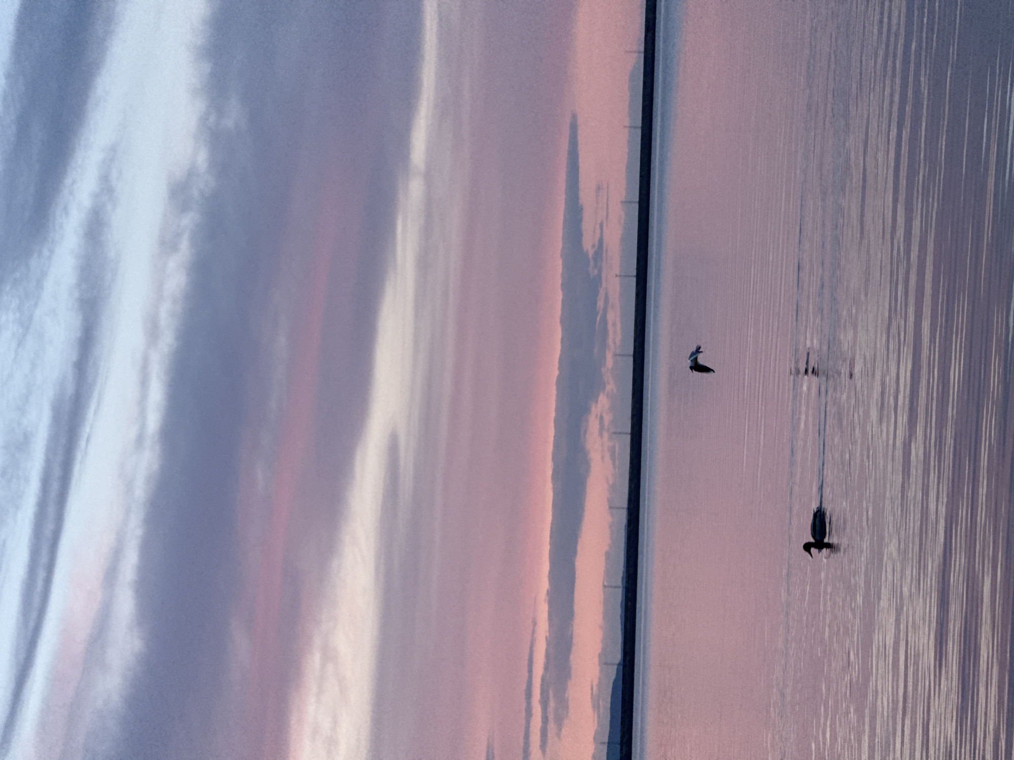 This serene landscape photograph captures a tranquil moment at either sunrise or sunset over a large body of water, likely a lake or wide river, in Chaikovsky, Russia. The image is split by a clear horizon line, separating the expansive sky from the reflective water.
The sky, occupying the upper half, displays a beautiful gradient of soft pastel colors, transitioning from light blue and white on the left to delicate purples and pinks towards the right. Streaky, elongated cloud formations stretch horizontally across the sky, catching the warm light.
Below the horizon, the water acts as a mirror, reflecting the sky's colors, albeit with more textured vertical streaks of light and shadow, suggesting gentle ripples or currents on the surface. A dark, linear structure, possibly a distant bridge or causeway, is silhouetted against the glowing horizon, with several faint vertical elements indicating pylons or posts.
Two birds are prominent subjects in the lower half of the frame. One bird, positioned towards the center-left, is captured in mid-flight with its wings outstretched, a dark silhouette against the softer water reflections. Another bird, further to the right and closer to the bottom edge, is seen on or just above the water's surface, creating a distinct ripple or reflection. Both birds add a sense of life and movement to the otherwise still scene.
The overall atmosphere is peaceful and contemplative, highlighted by the soft, diffused light and the harmonious blend of natural colors. There is no visible text in the image.