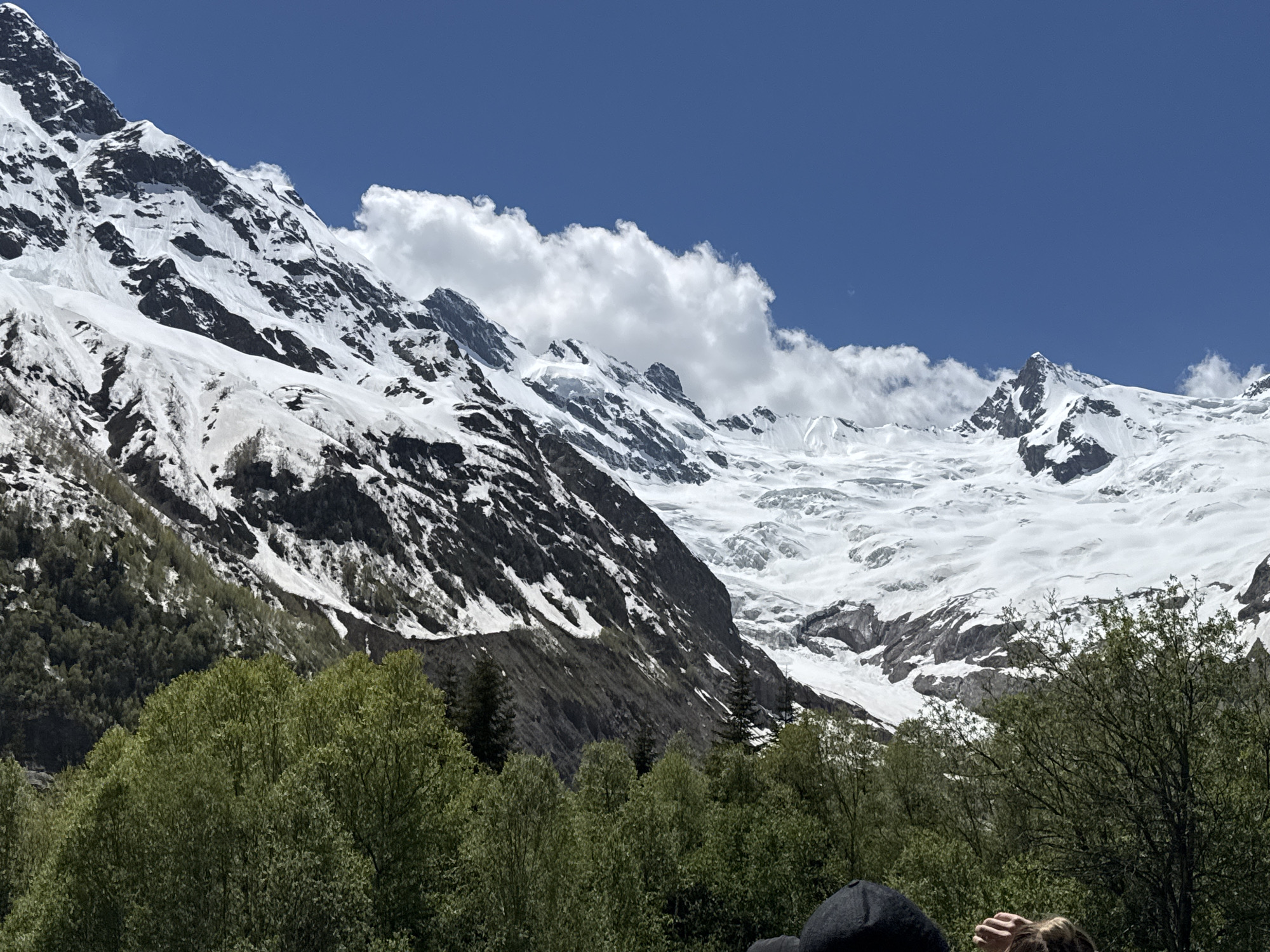 The image displays a mountainous landscape under a clear blue sky, situated in Верхне-Тебердинское сельское поселение, Russia. The upper portion of the frame is dominated by a deep blue sky, featuring several distinct white cumulus clouds primarily clustered above the central and right mountain ranges. The mid-ground and background are composed of extensive snow-capped mountains. On the left, a steep, rocky mountain face is covered in patches of white snow and dark grey rock. Towards the center and right, the mountains transition into a large expanse of white snow and glacial ice, exhibiting varied textures and formations. The lower slopes of the mountains are covered with dense, dark green vegetation, including coniferous and deciduous trees. In the foreground, a vibrant canopy of light green, leafy deciduous trees occupies the lower third of the image. The extreme bottom right corner shows the top of a human head wearing a black cap and a partial view of a hand and forehead of another individual, indicating the presence of observers.